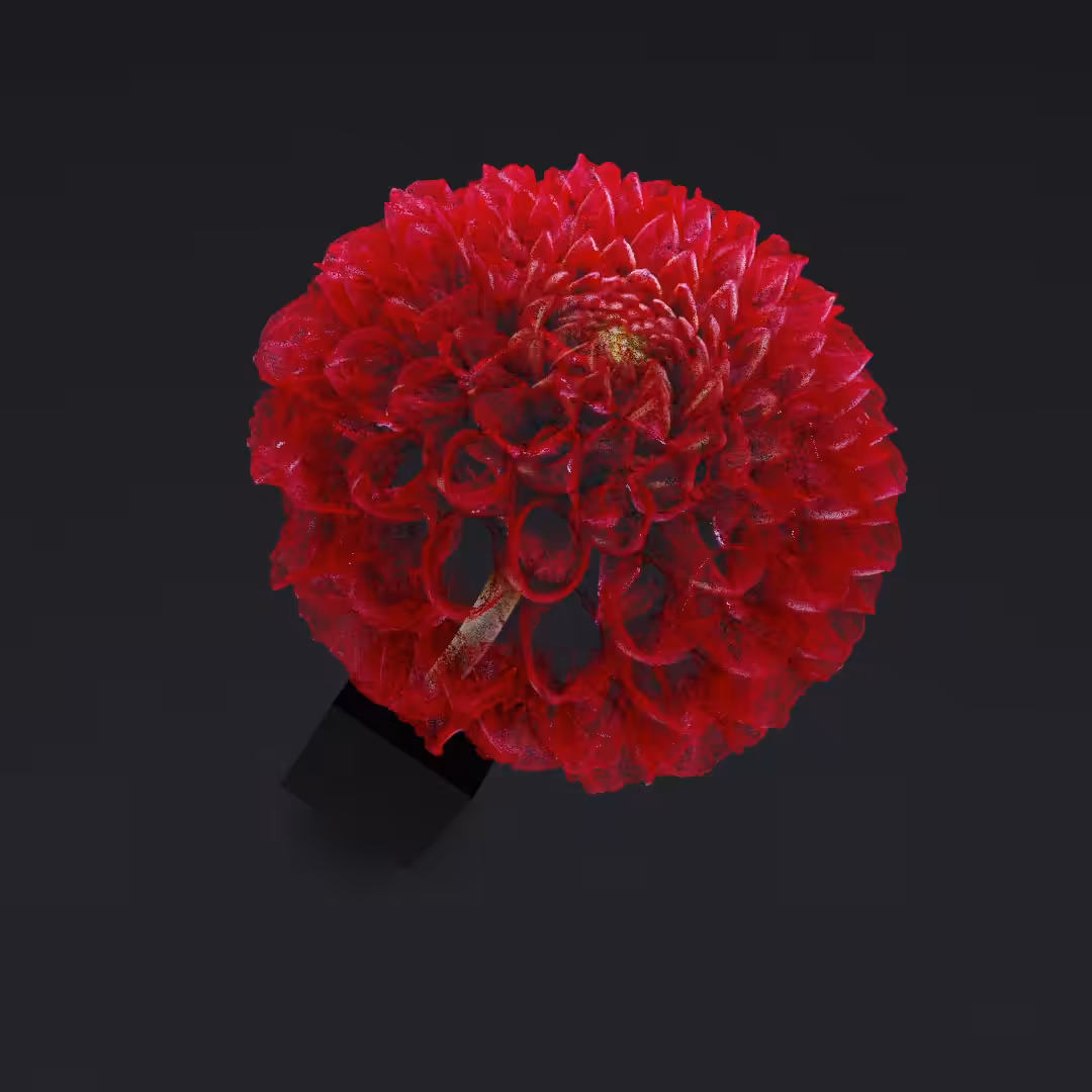 Just a flower III