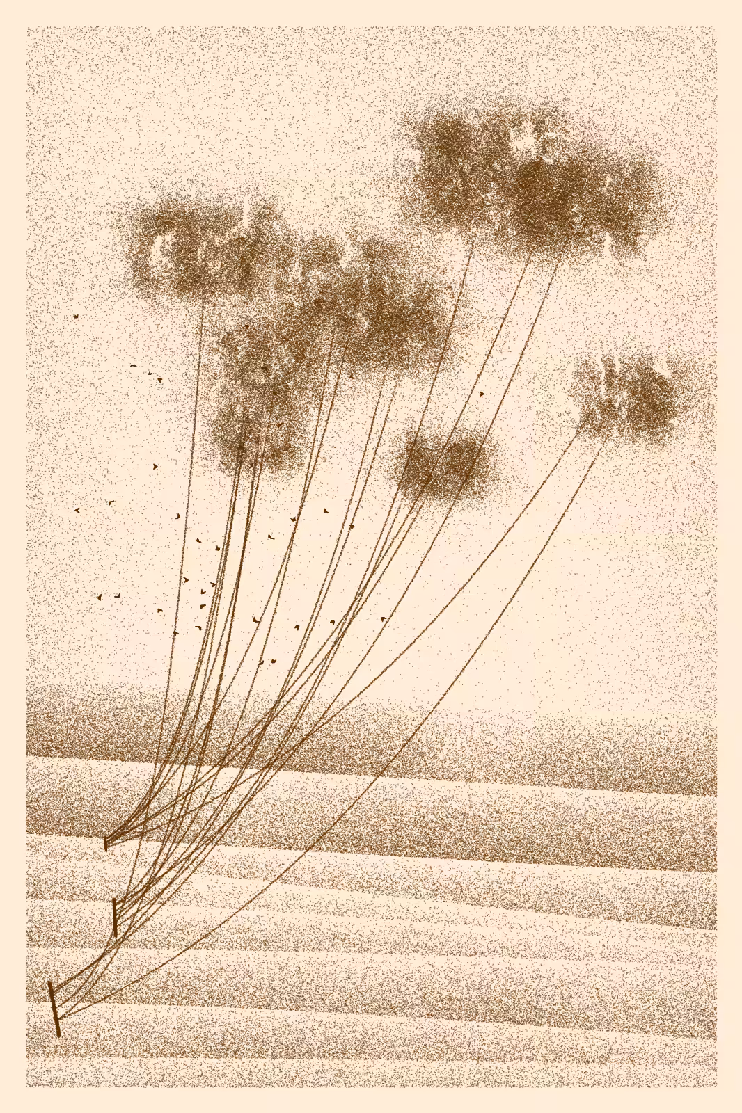 Cables and Clouds #224