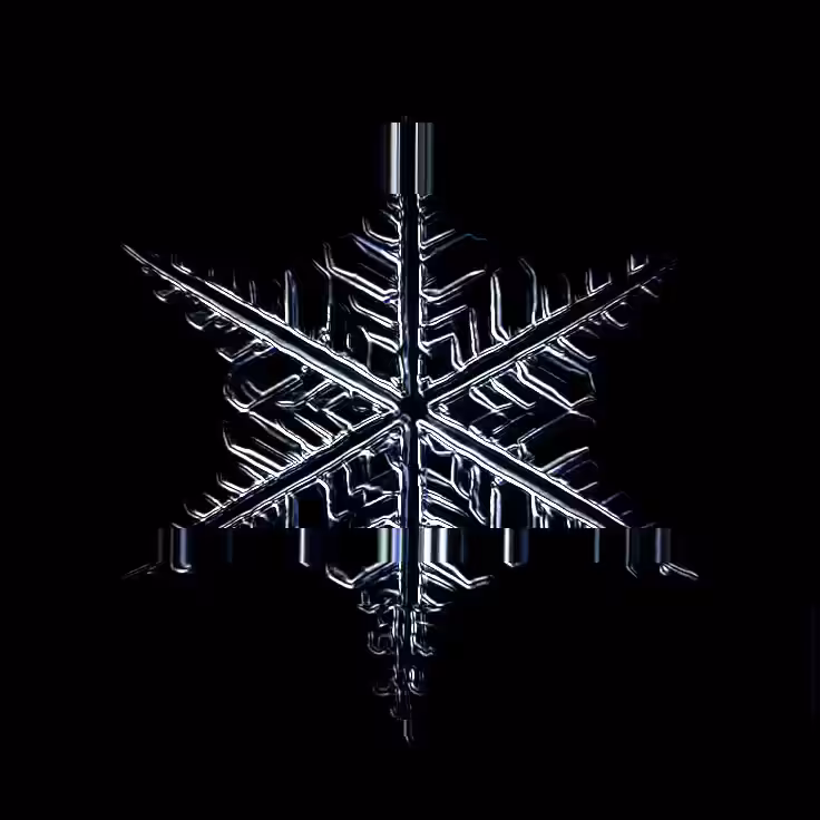 SNOW SIGNAL 004