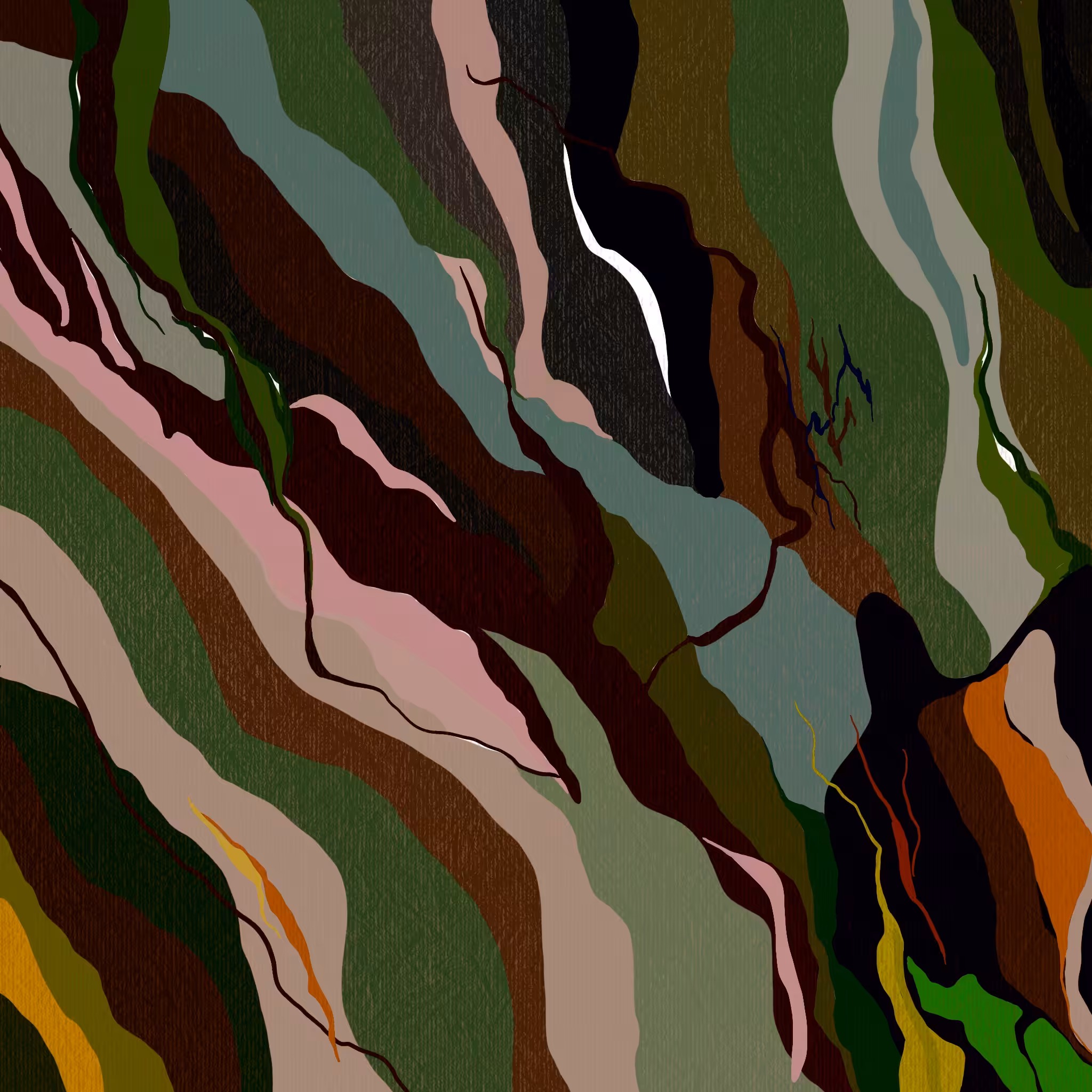 Cano Cristales #16