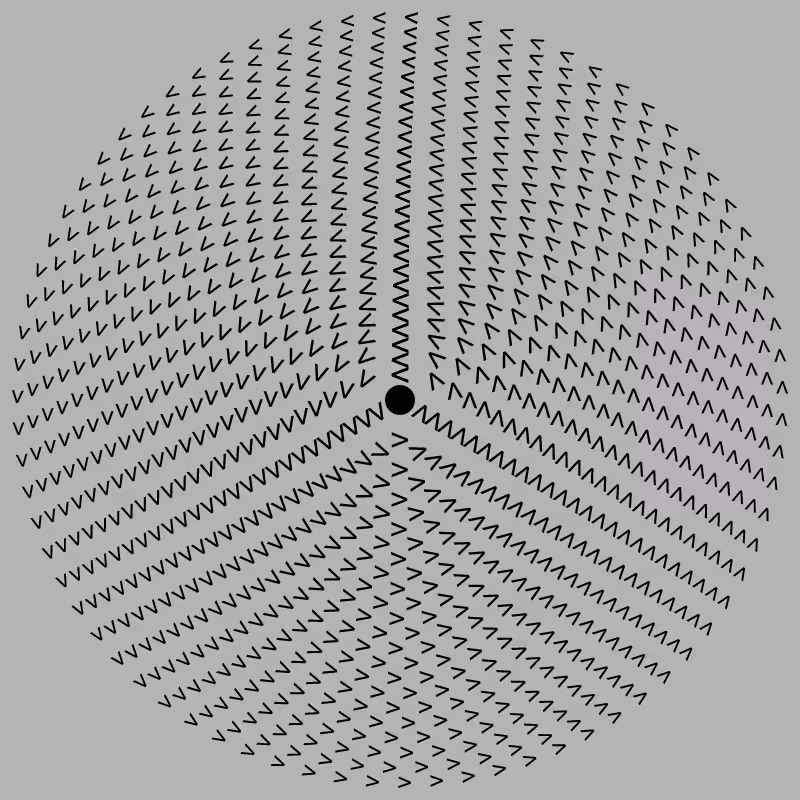 Dizzy Wheel #16
