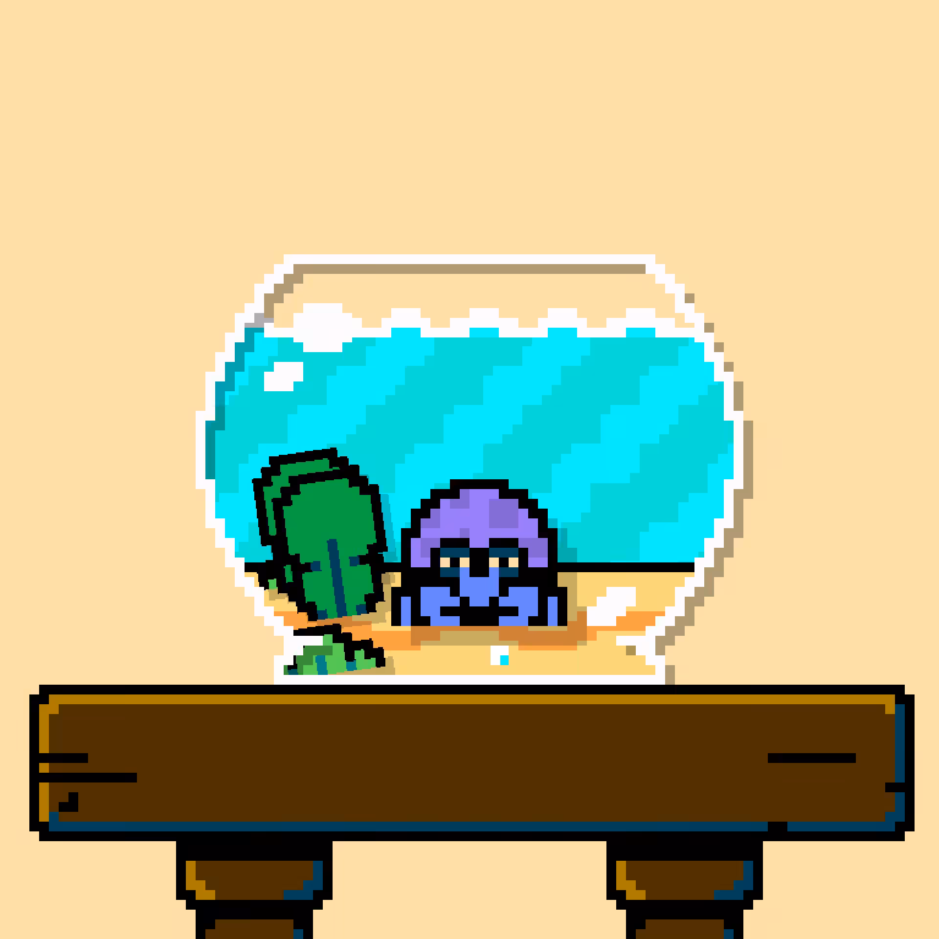 hermit crab #31
