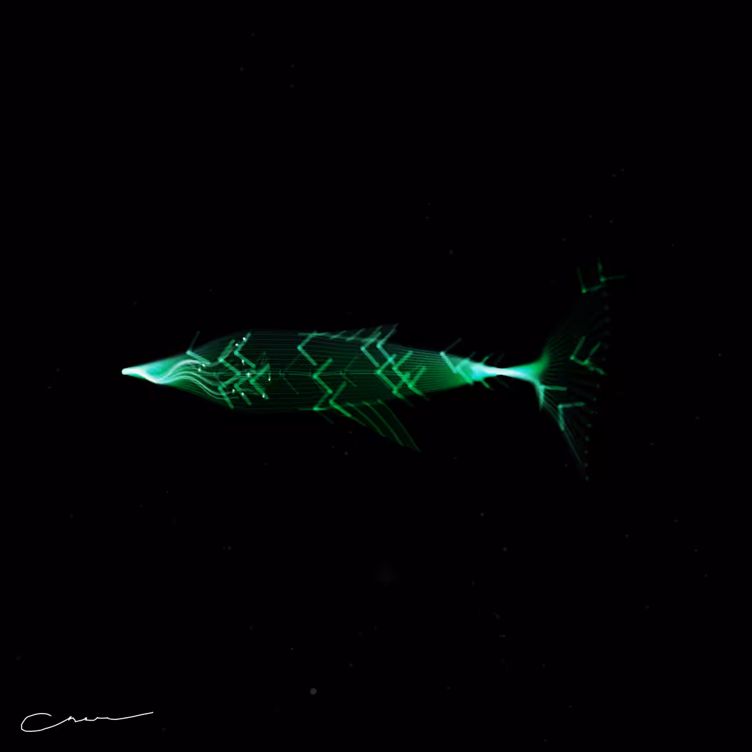 SoulFish #143