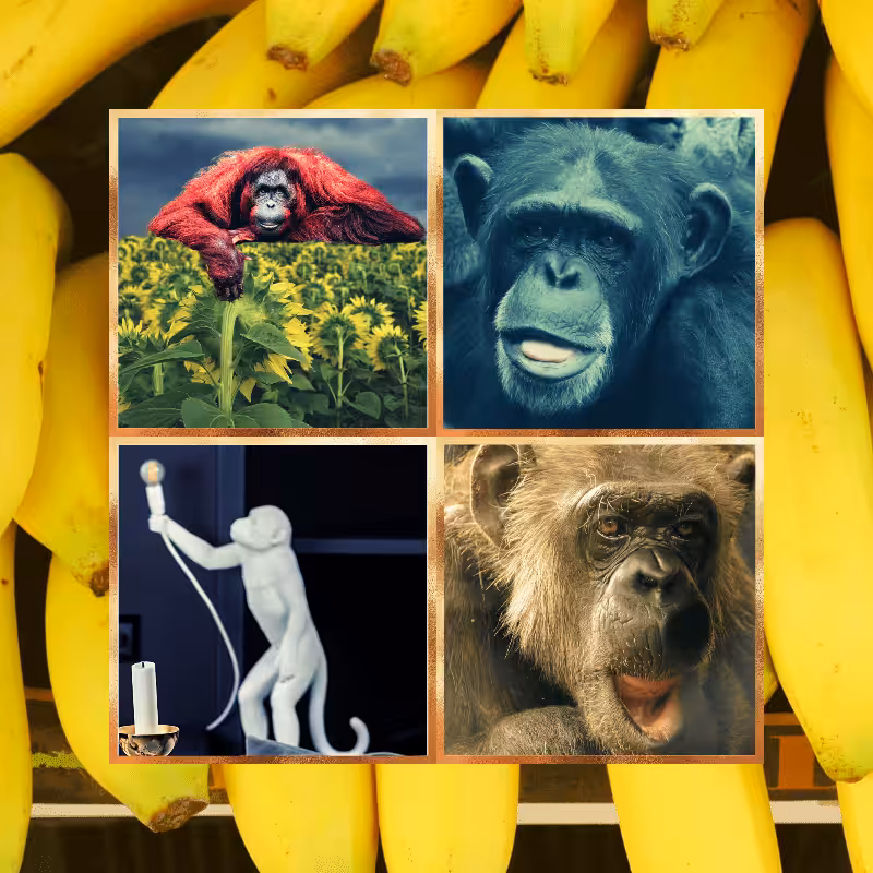 Banana legends #8
