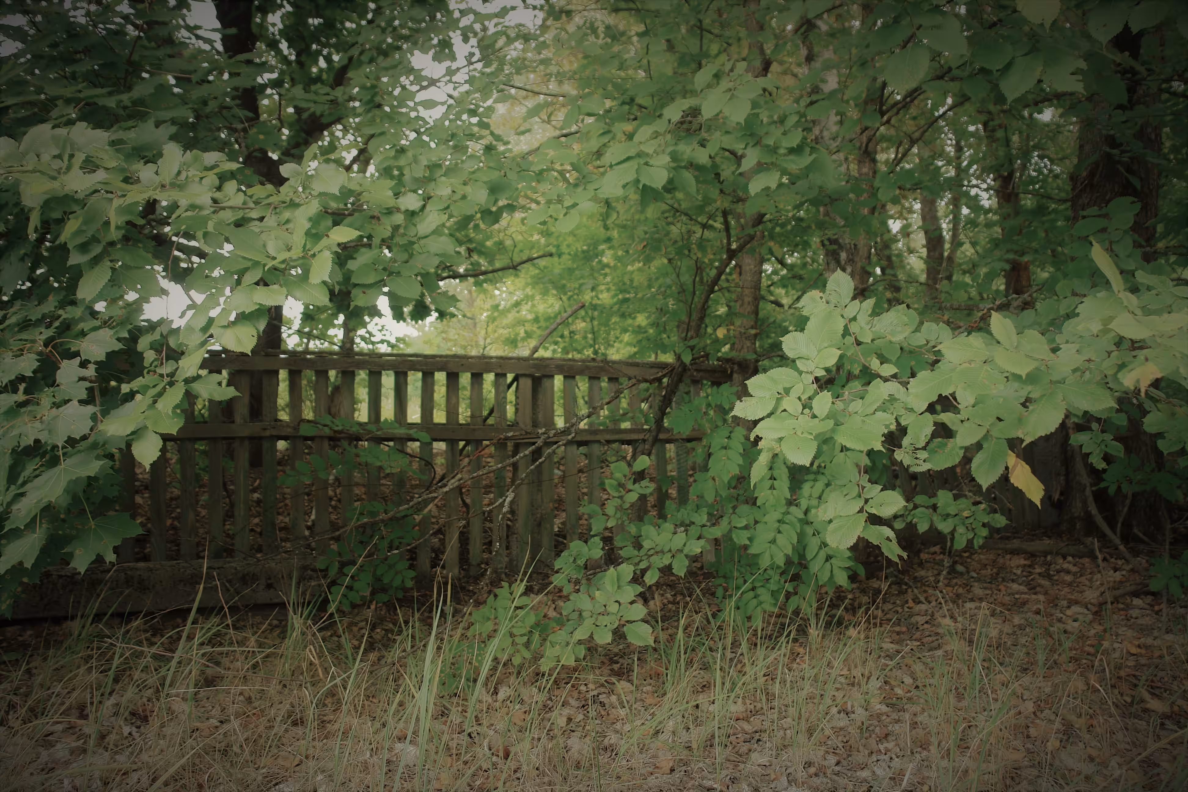 Photographic details (18) 