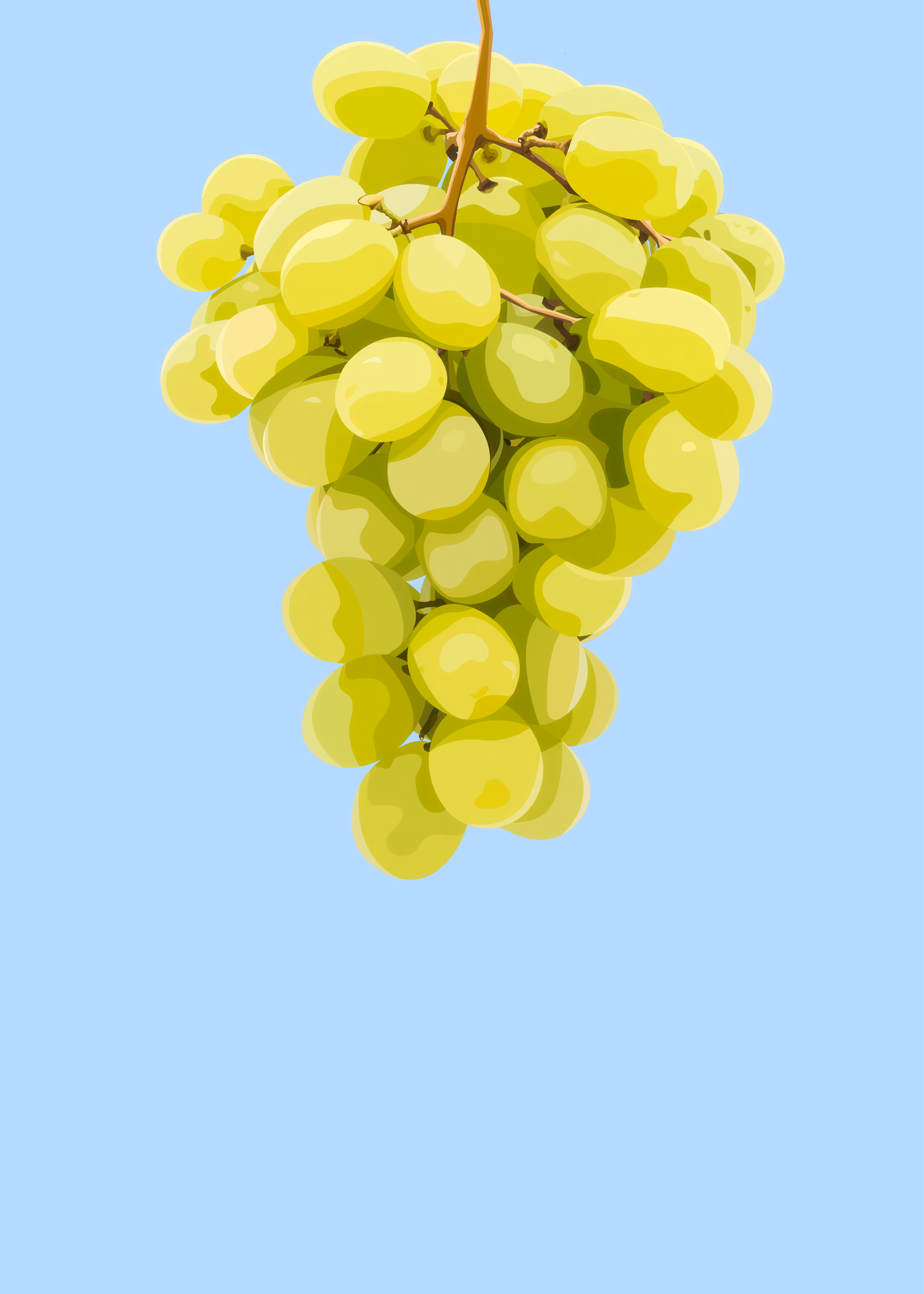 Grape