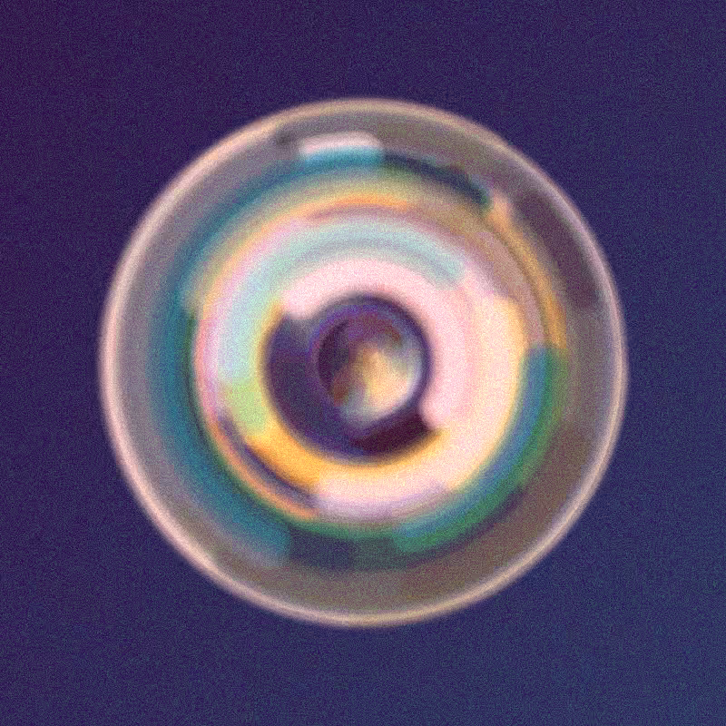 Wisp #262