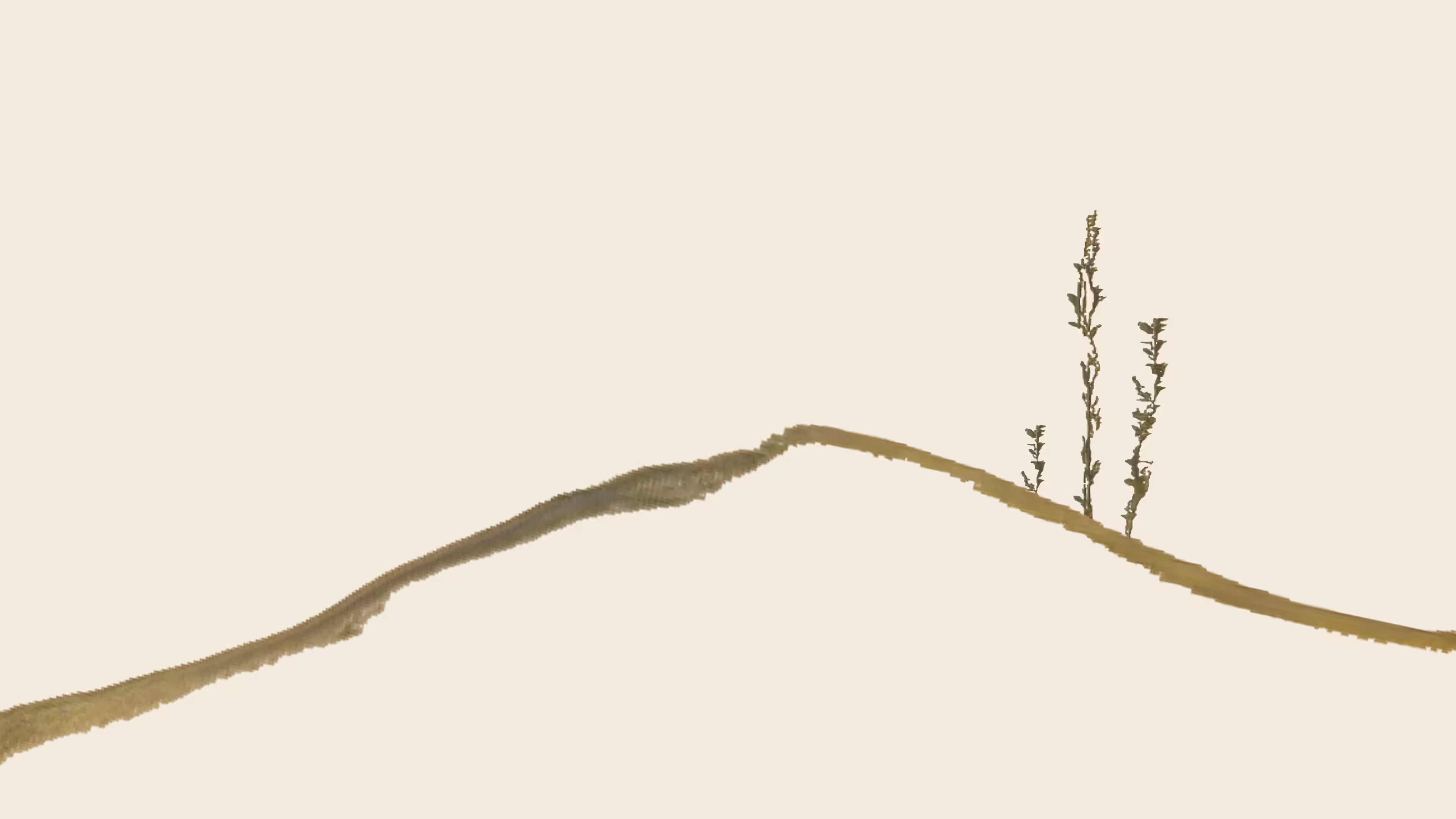 what was found in the mountain (no wind here can uproot)