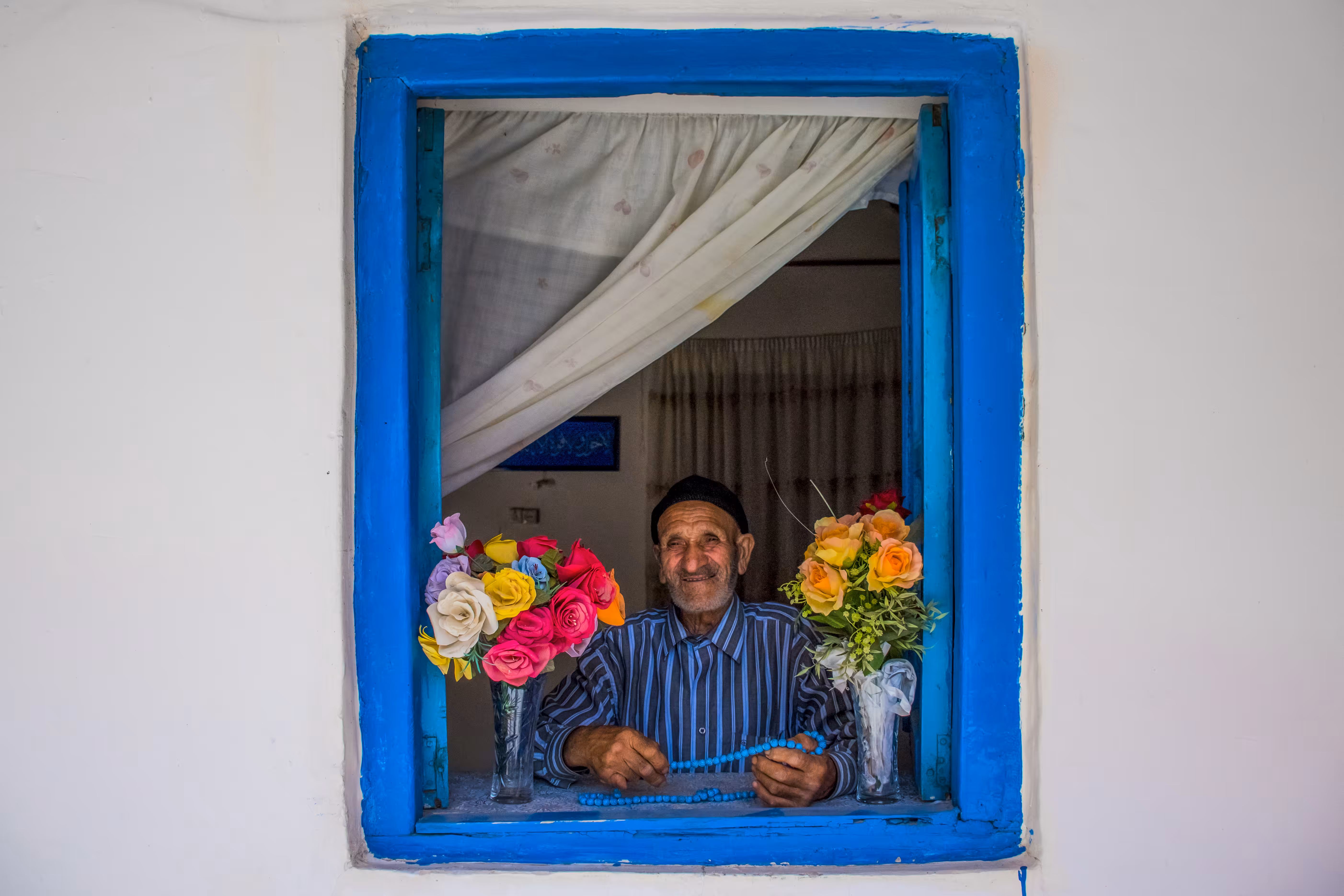Window of Life