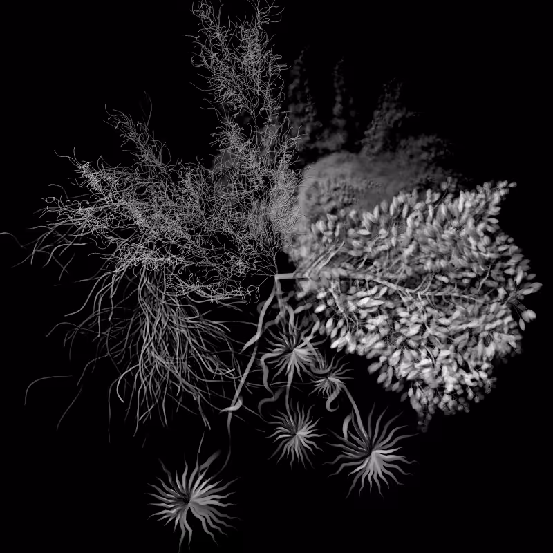 Botanical Ghosts #12