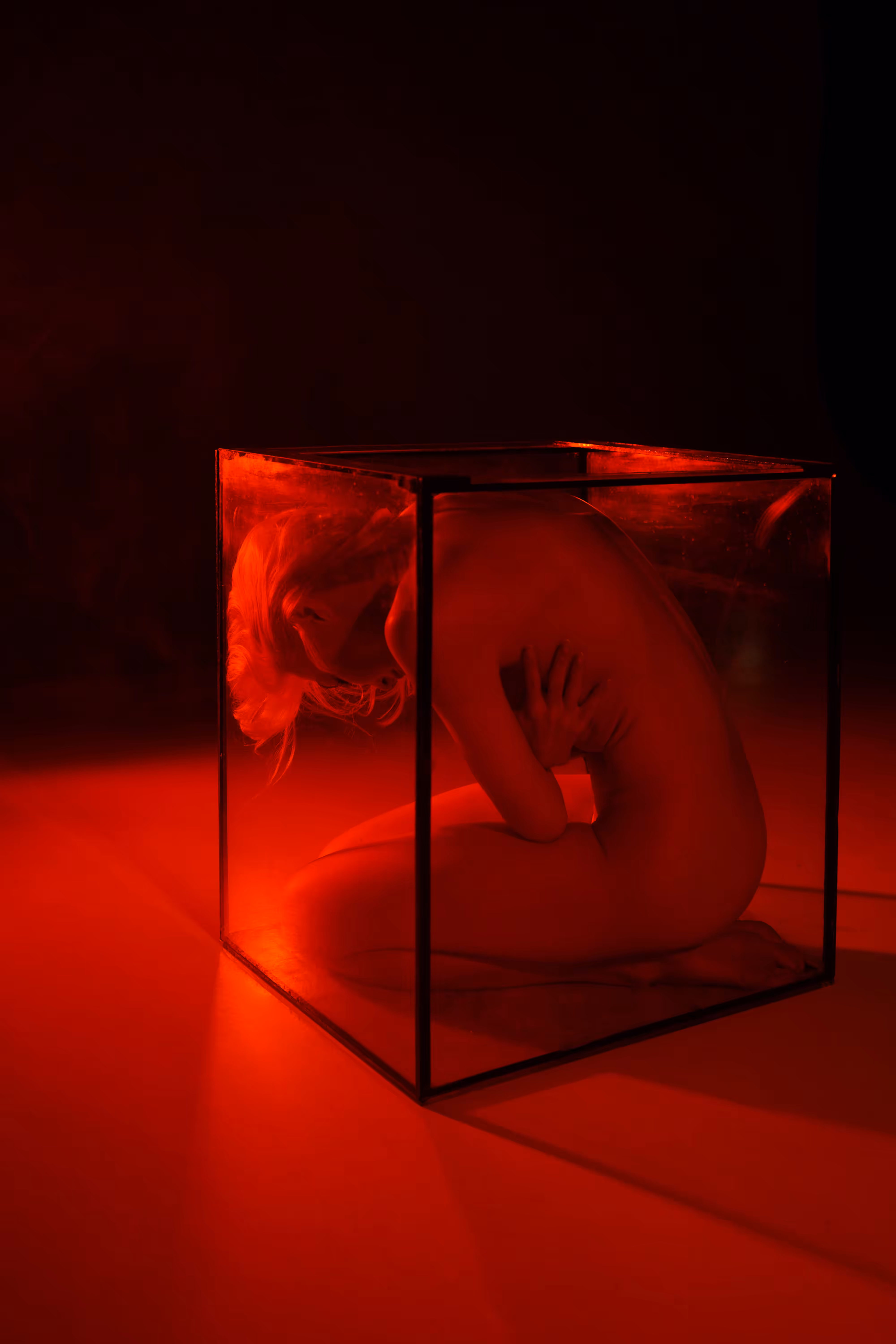The cage #1