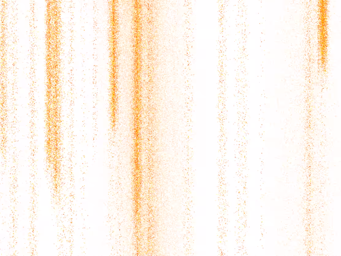 barcodes #31