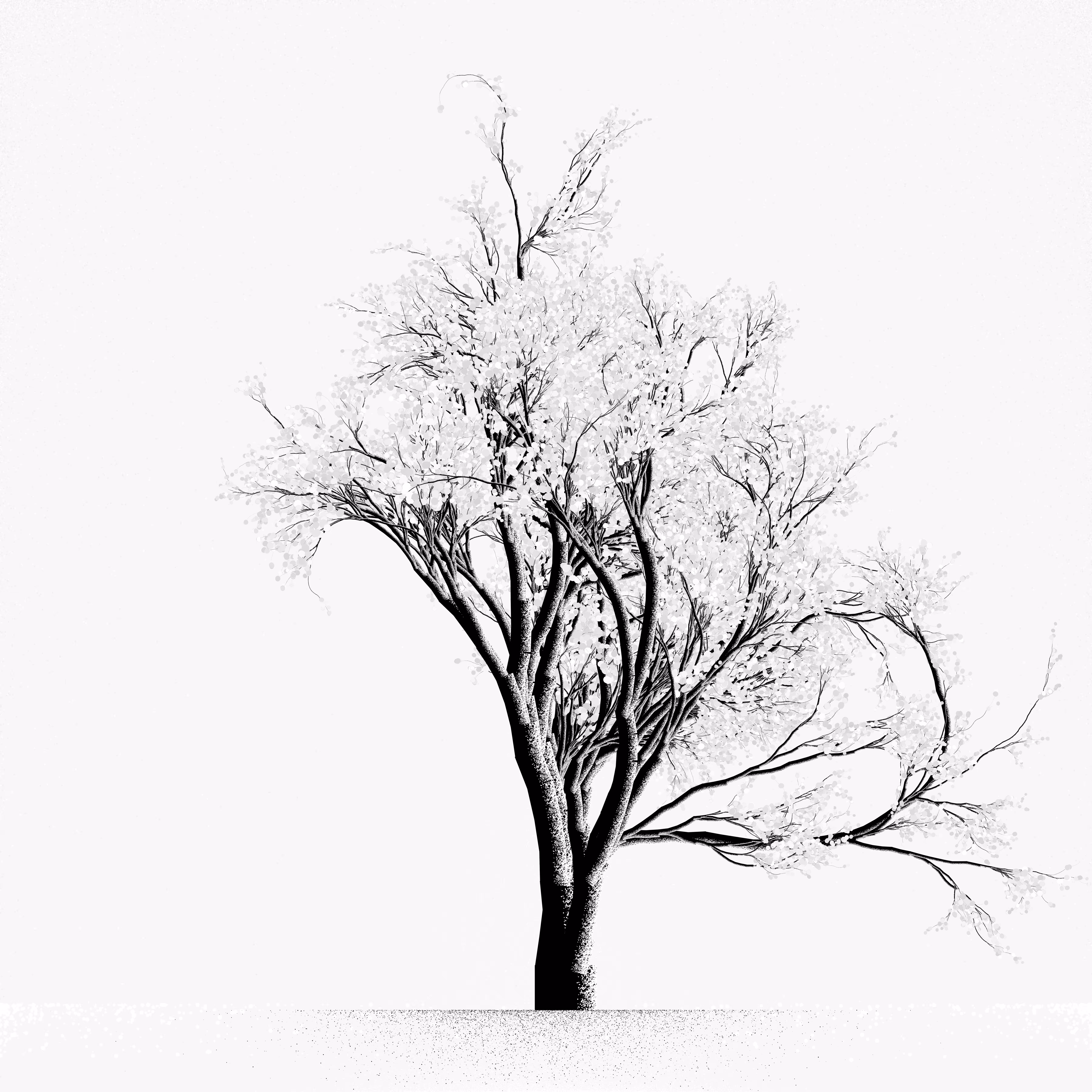 Snow Tree #33