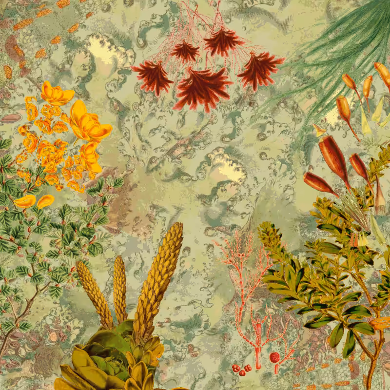future flora from Antarctica's past #19