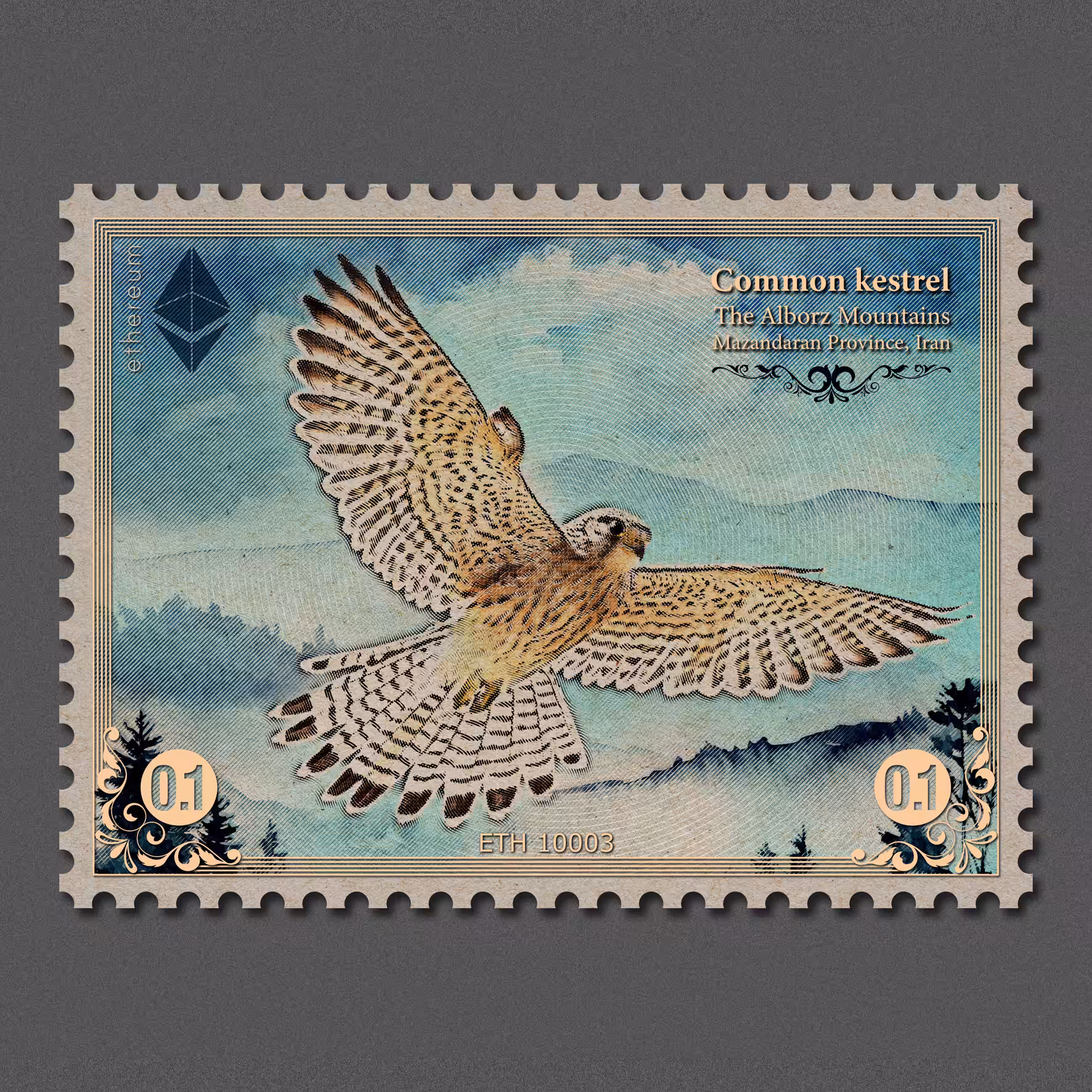 Common Kestrel