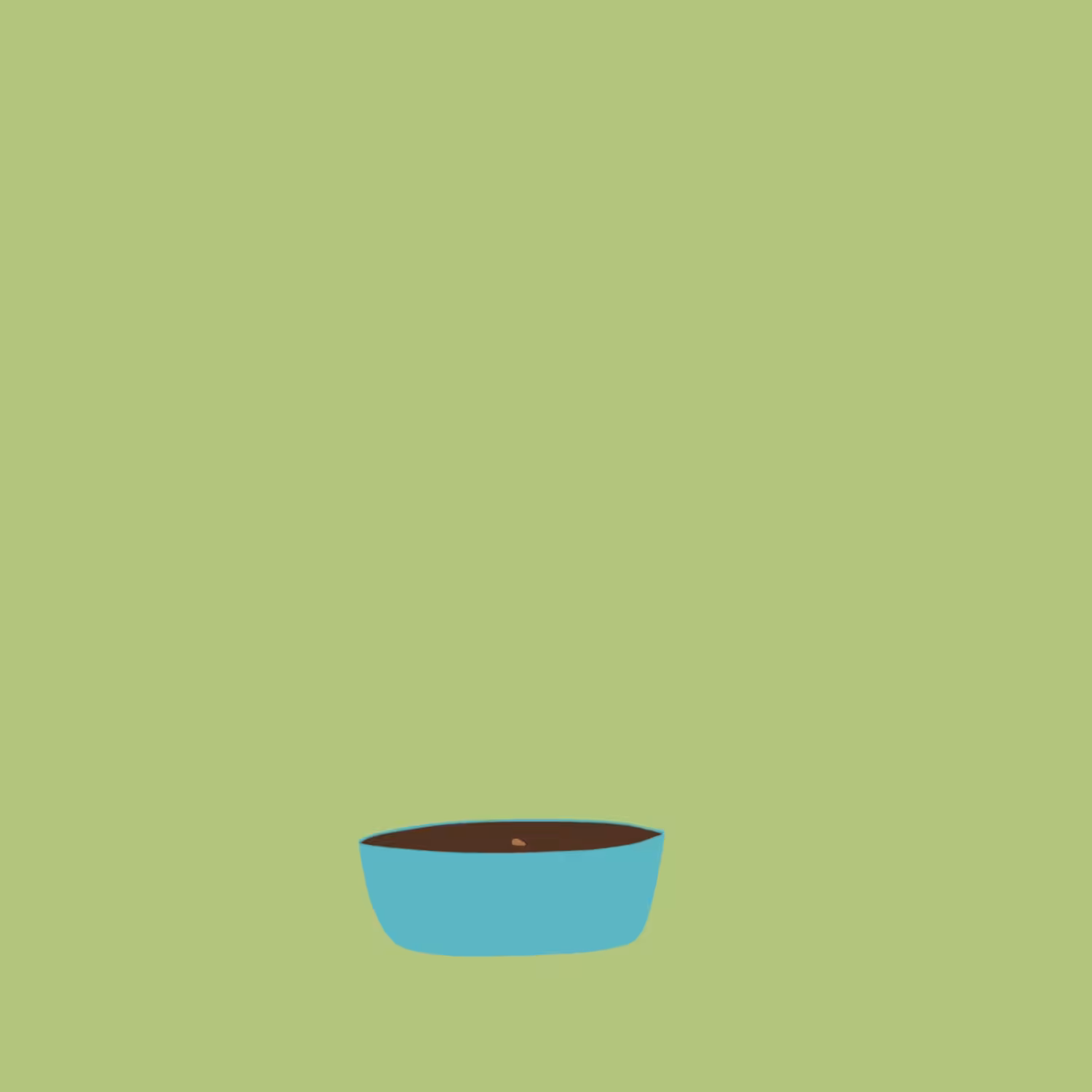 Bonsai