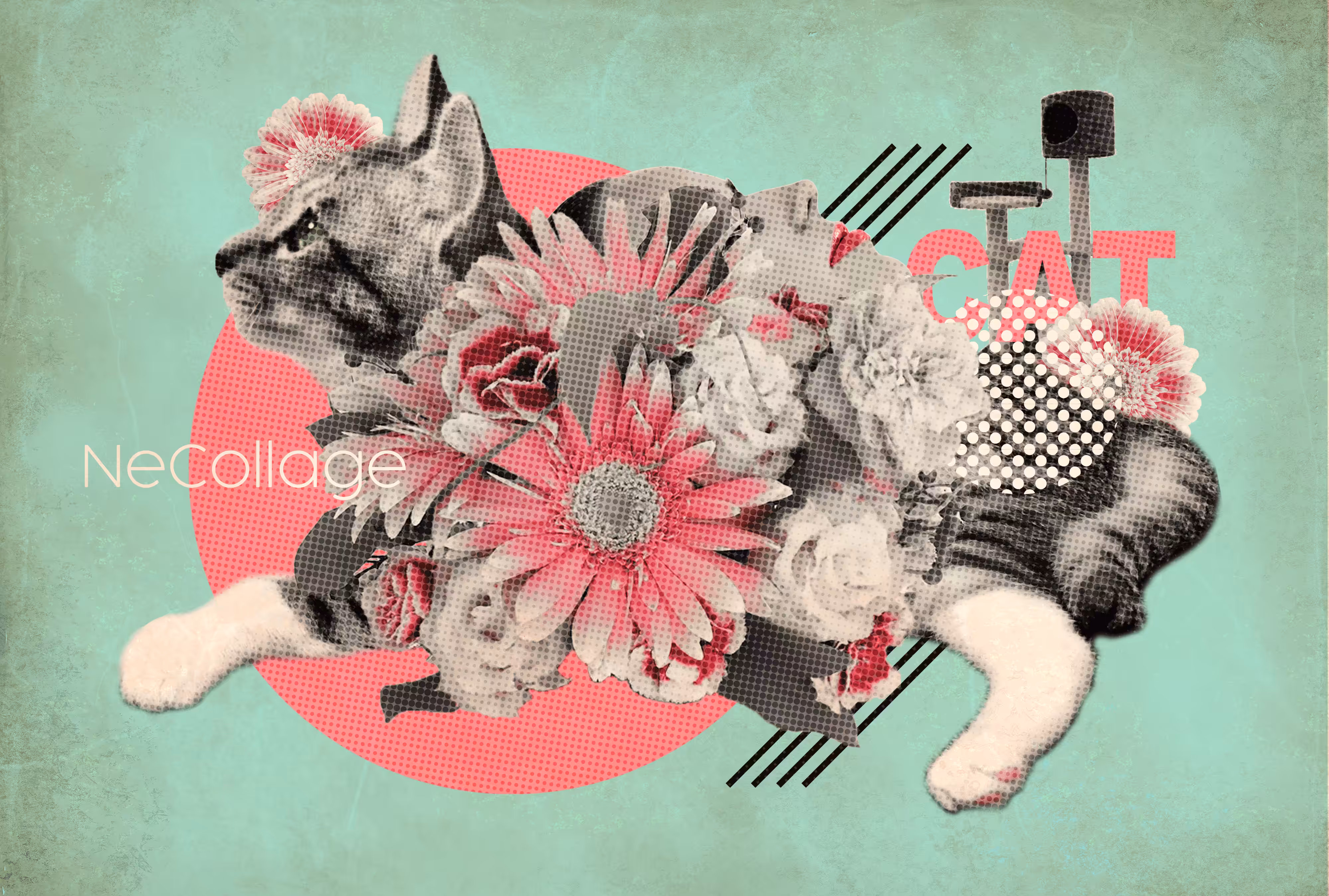 Necollage1