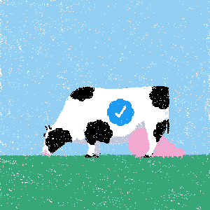 cows: cow #41