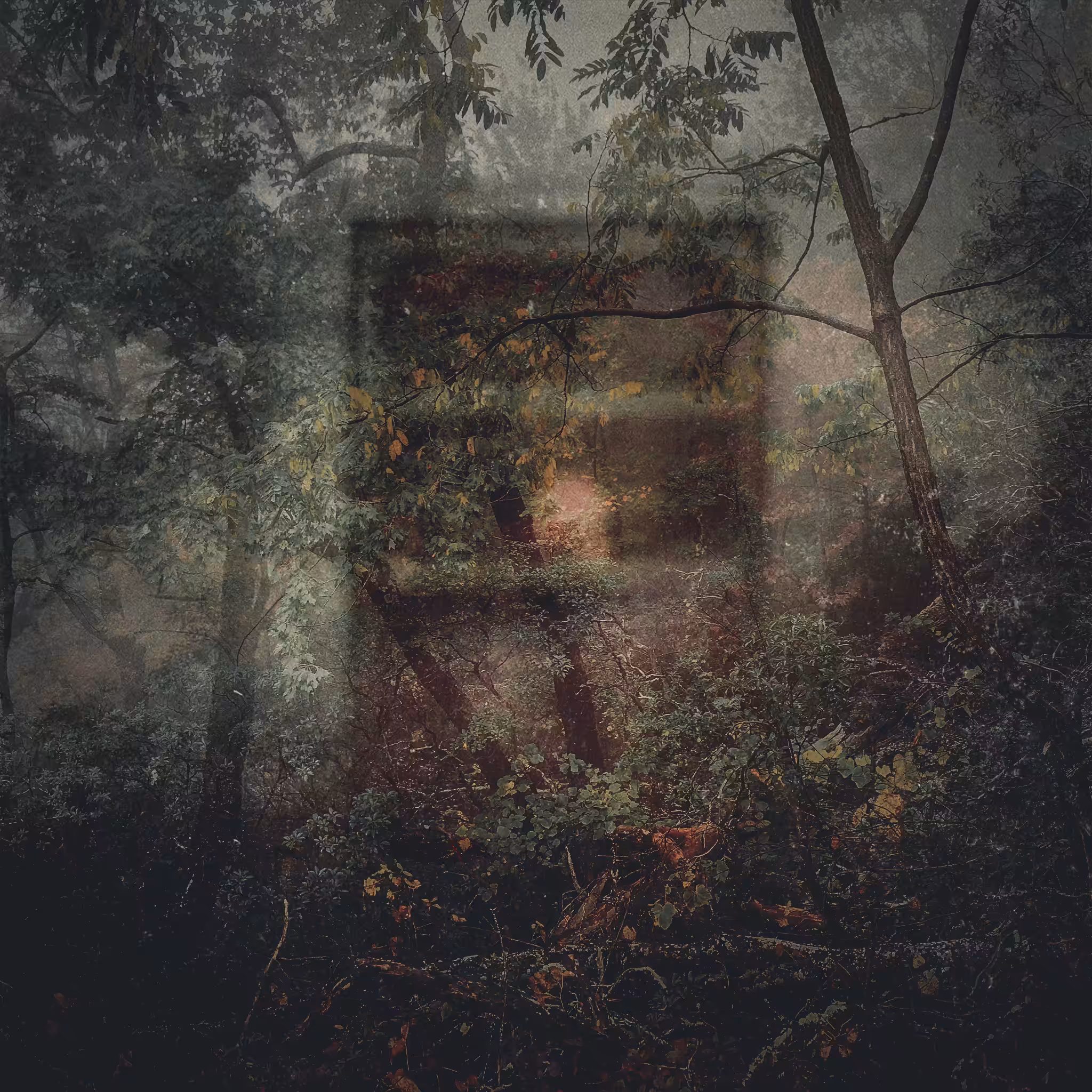 Pine Altar  