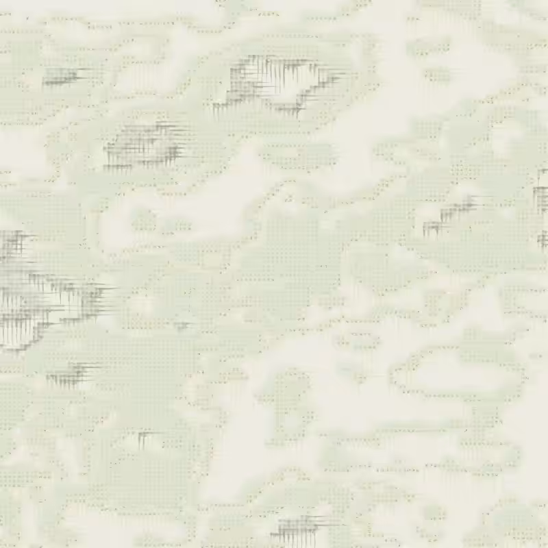 Petri 1500 #248