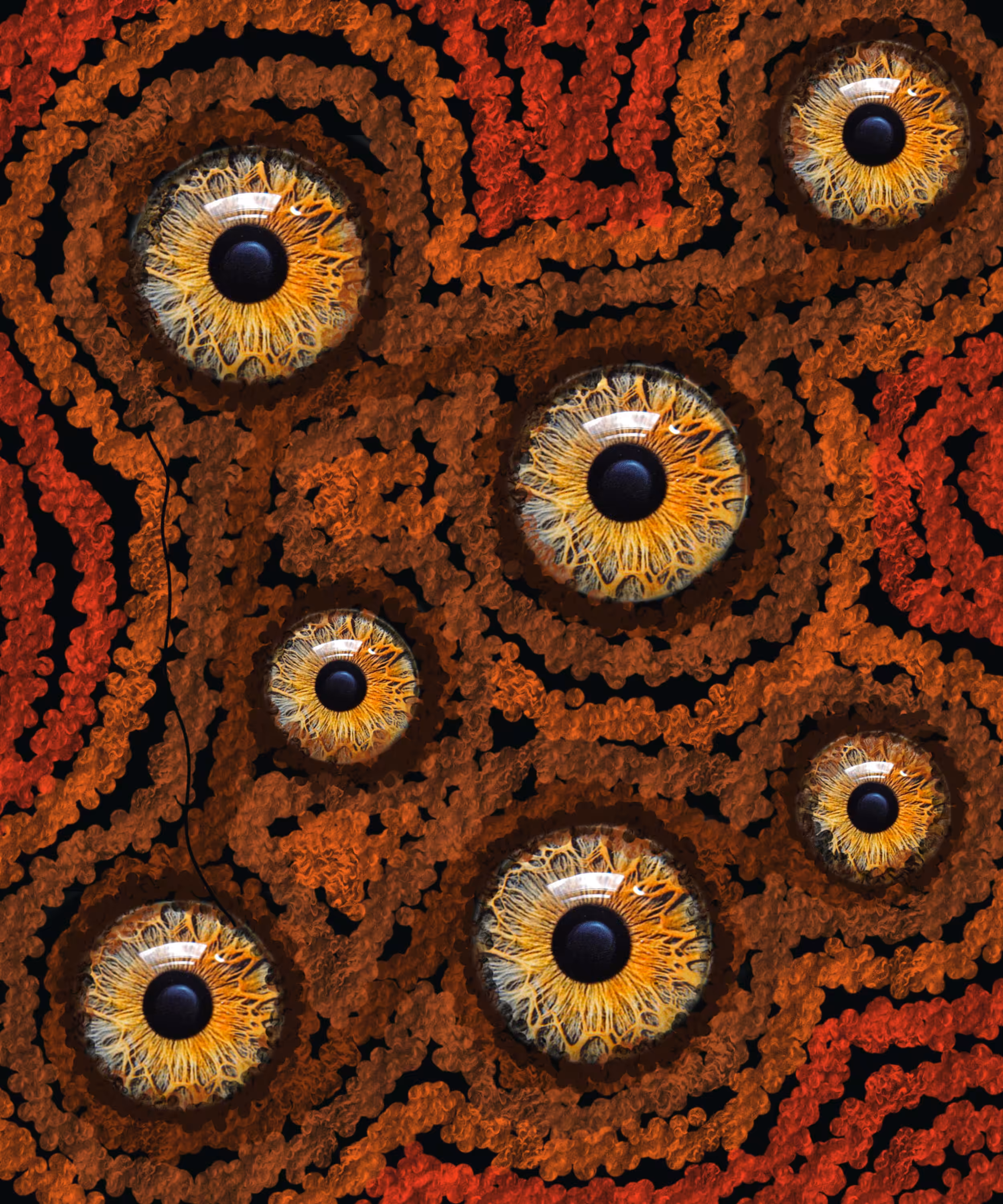 The eyes