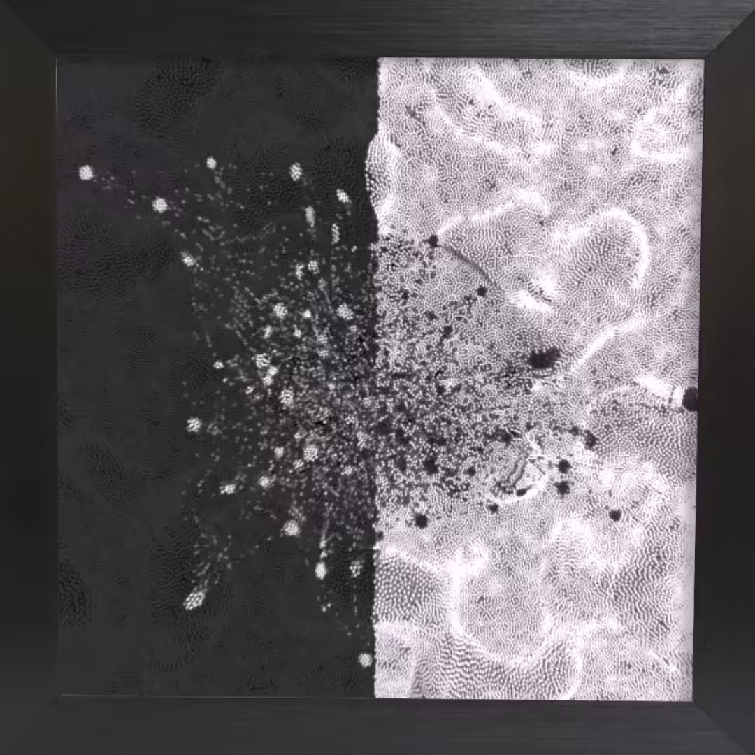 Correlations