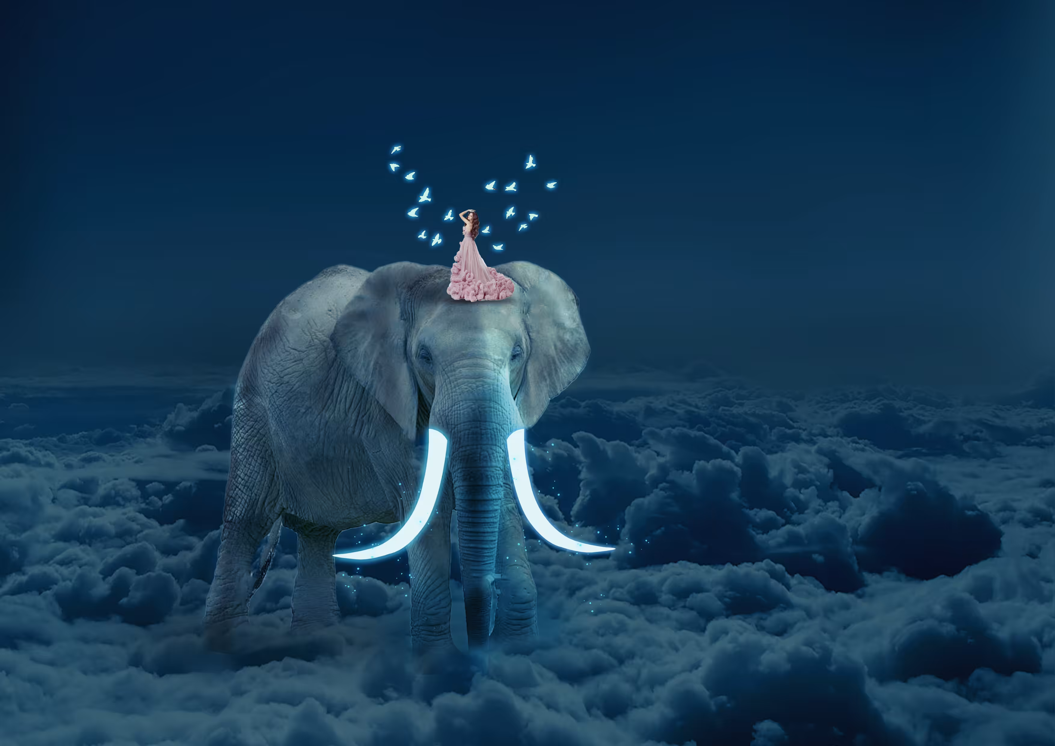 Elephant