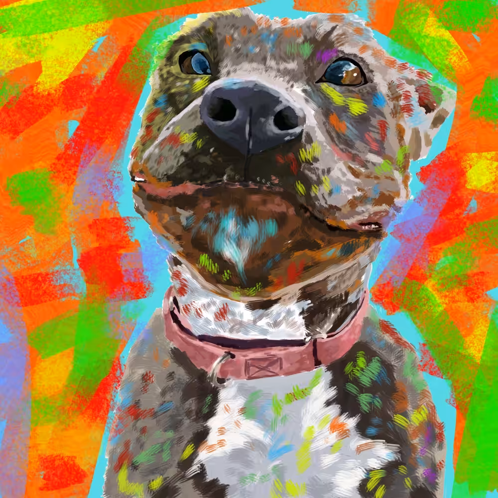 A happy dog
