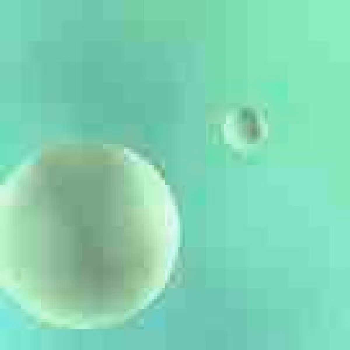Orbit 479011699