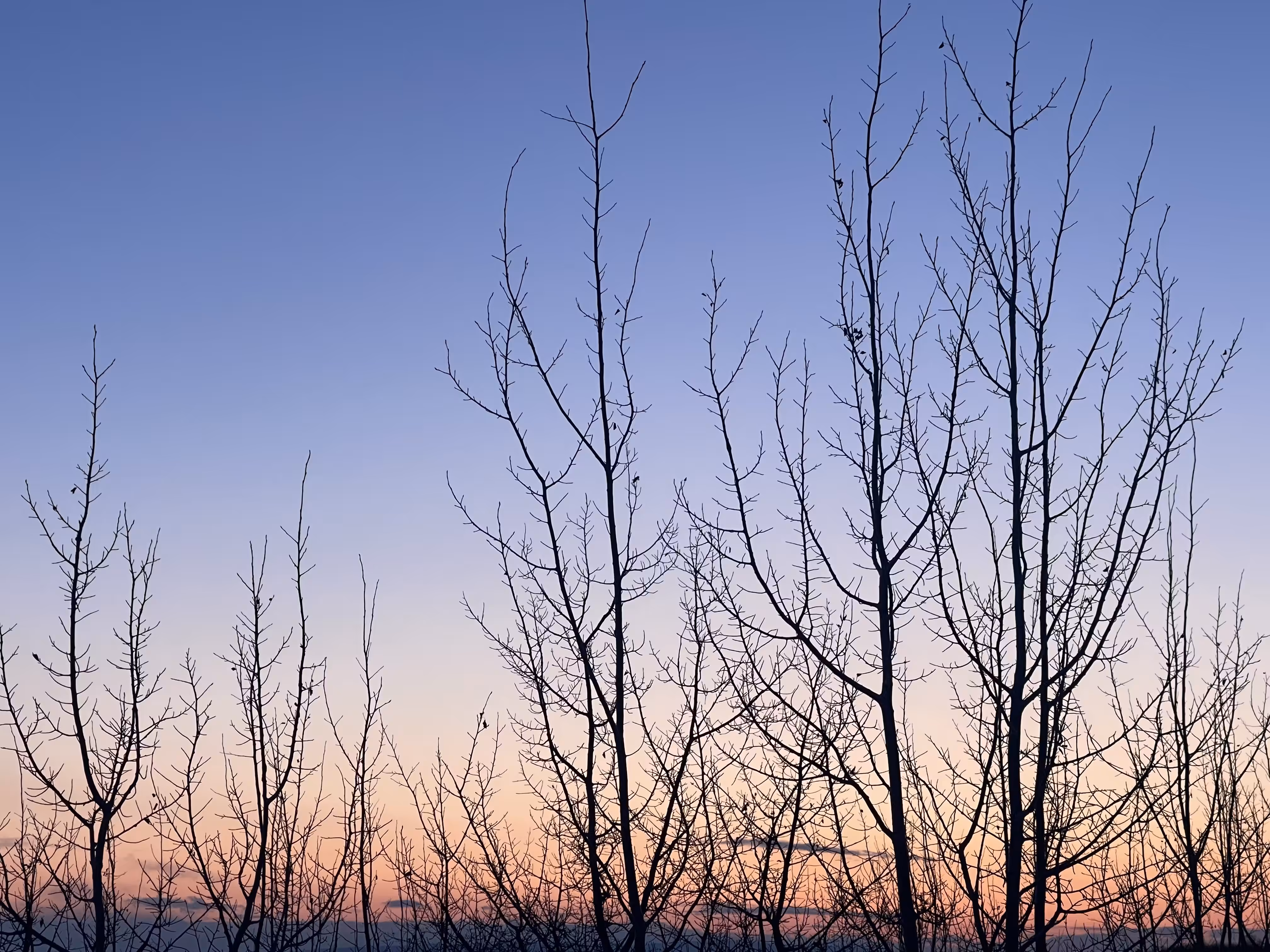 GRAVEYARD SUNSET, 2023