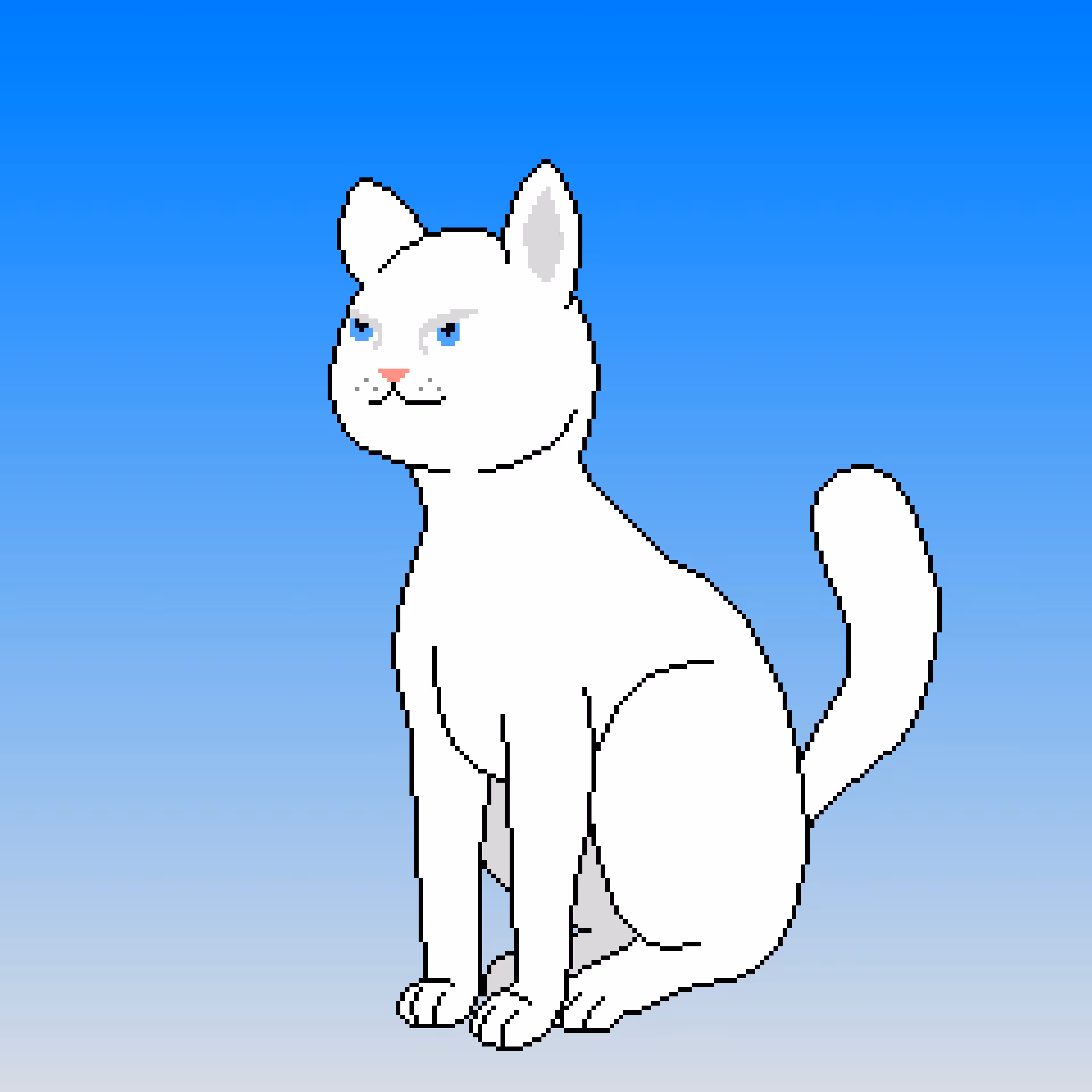 Cat Collective #003