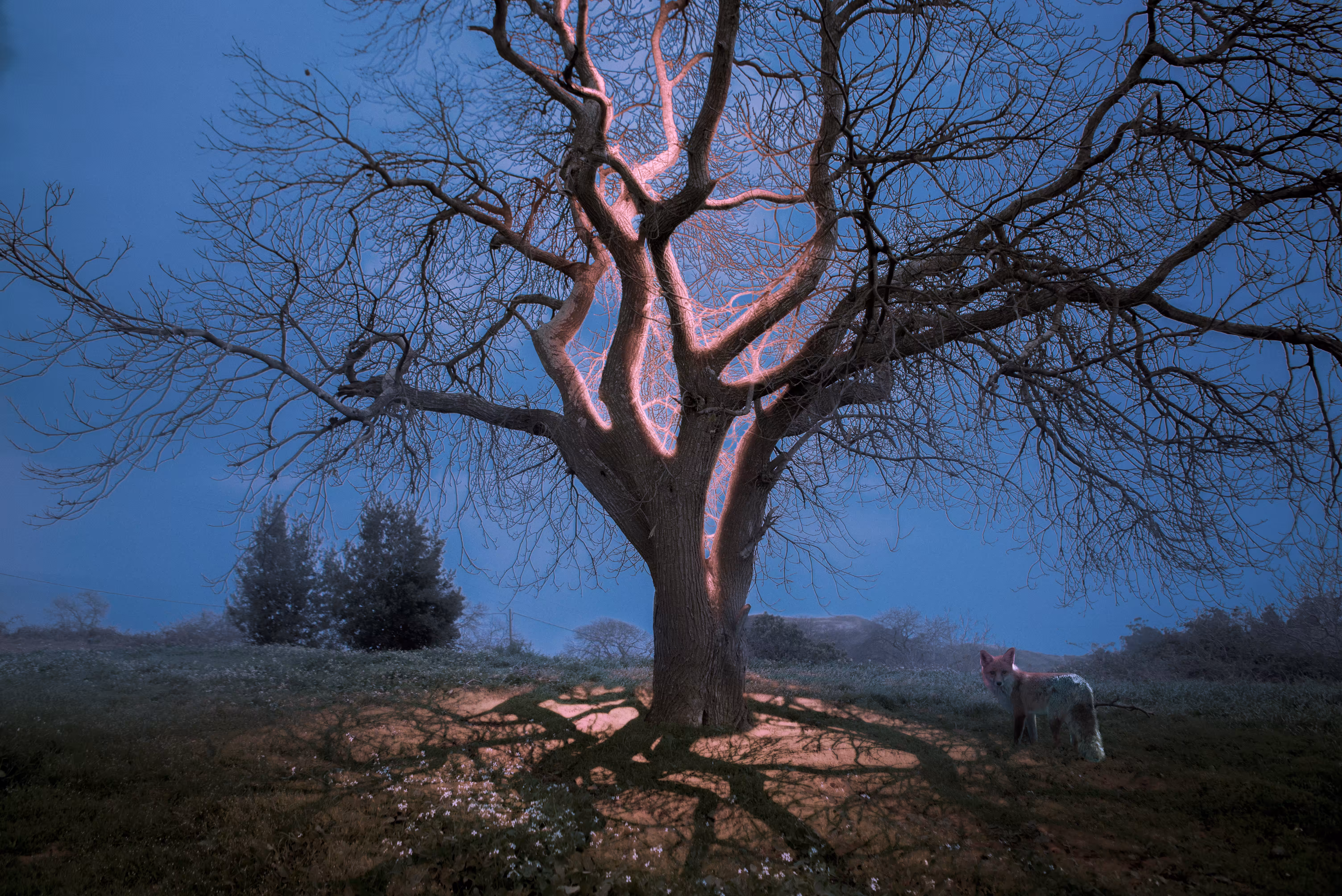 Chasing Light