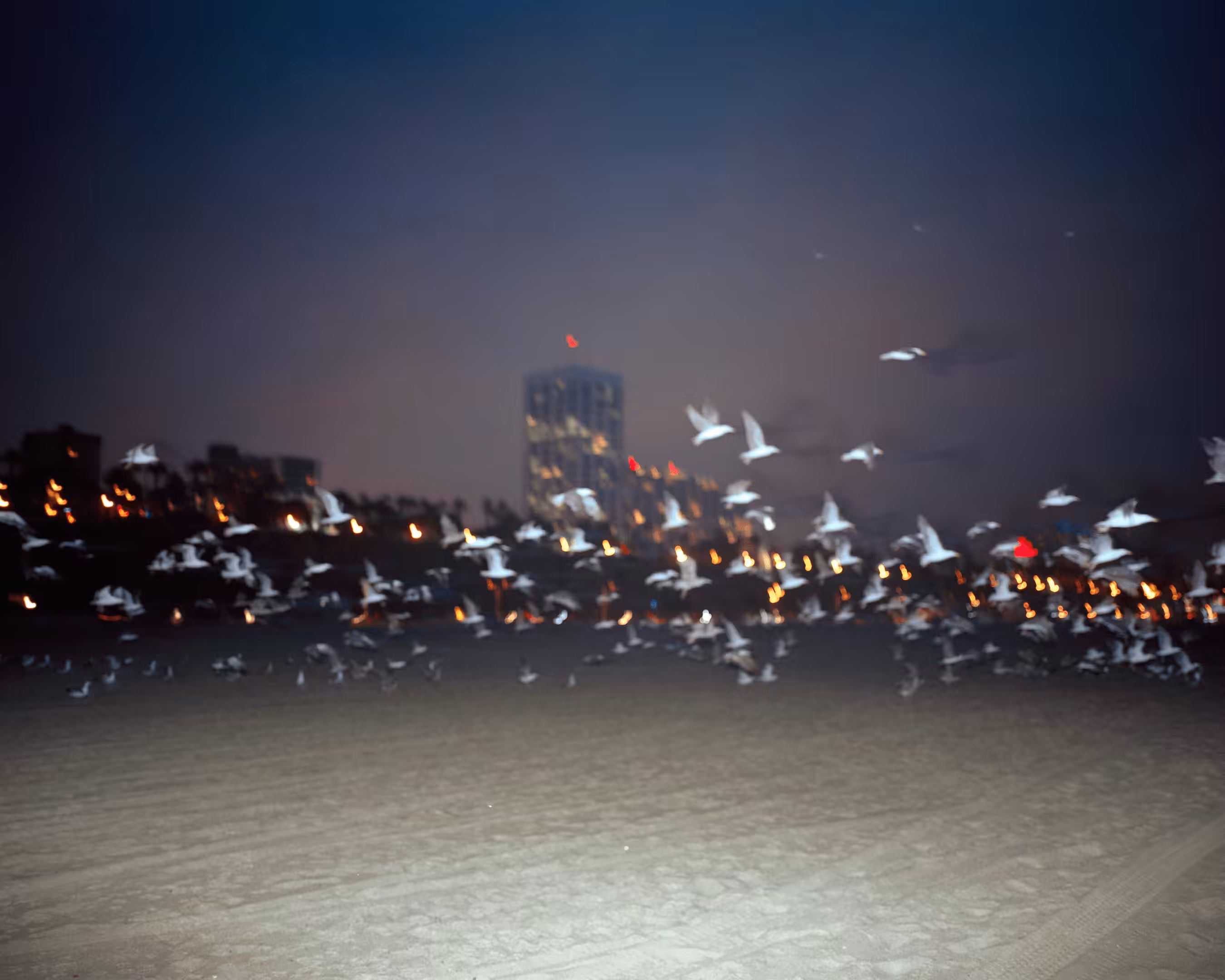 The Ongoing Moment 038