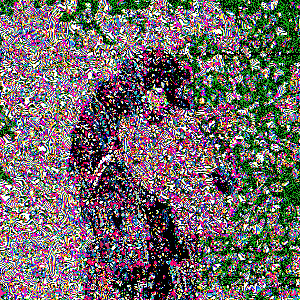 Garden Grim