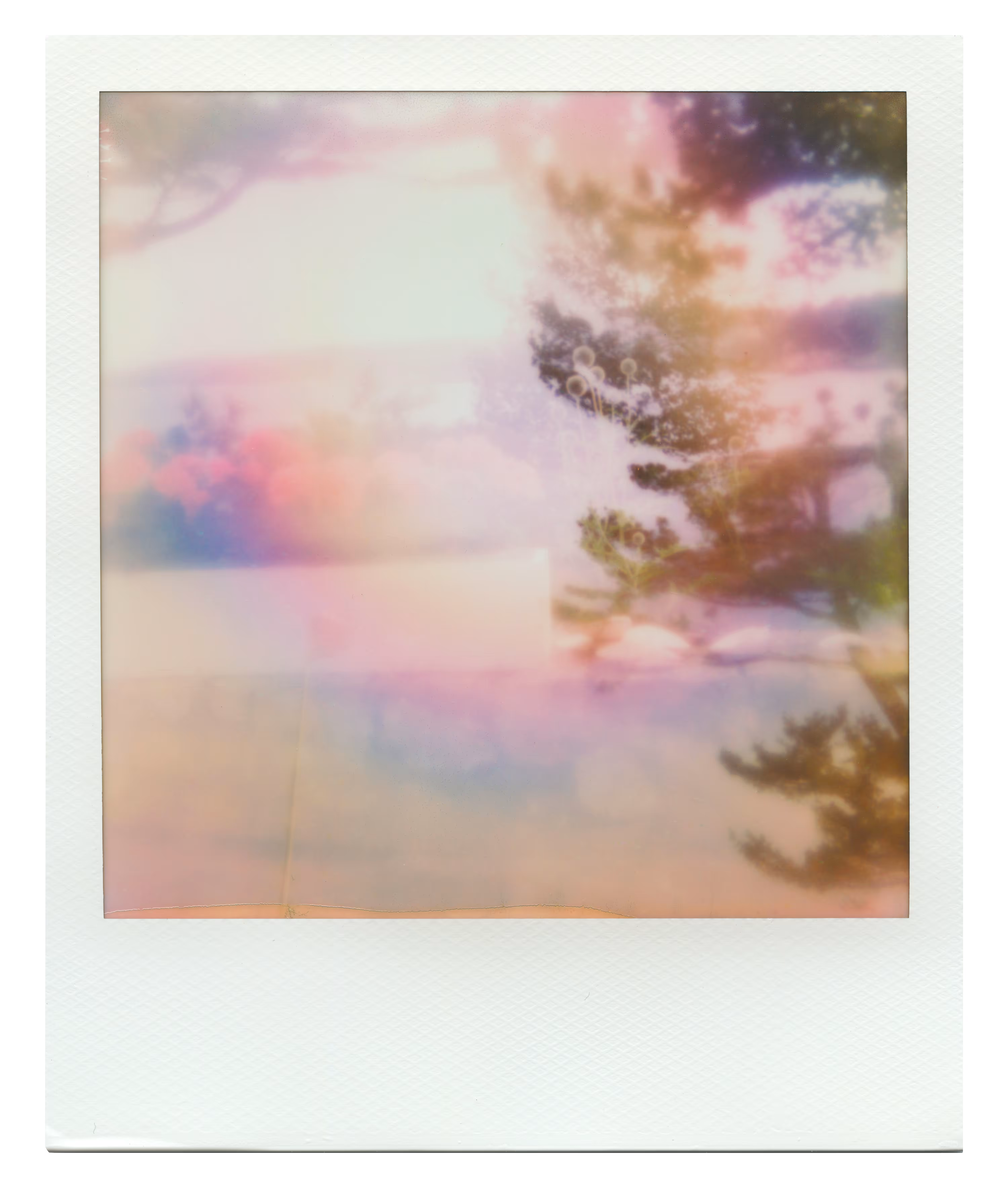 Endless Summer  |  46  | Manifestation