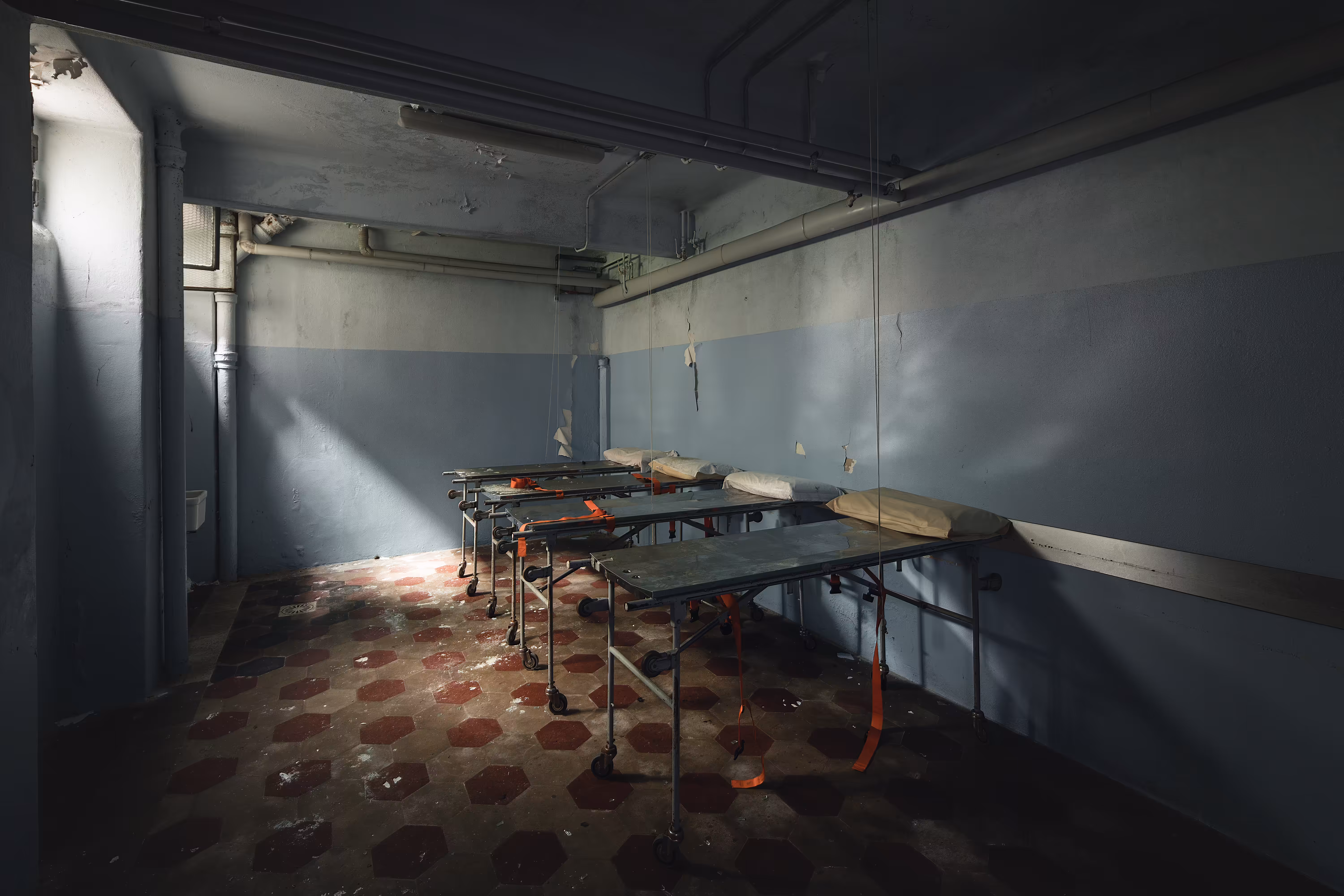 Abandoned World: In Dark Cellars