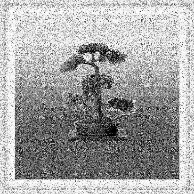 Bonsai Bonanza #753