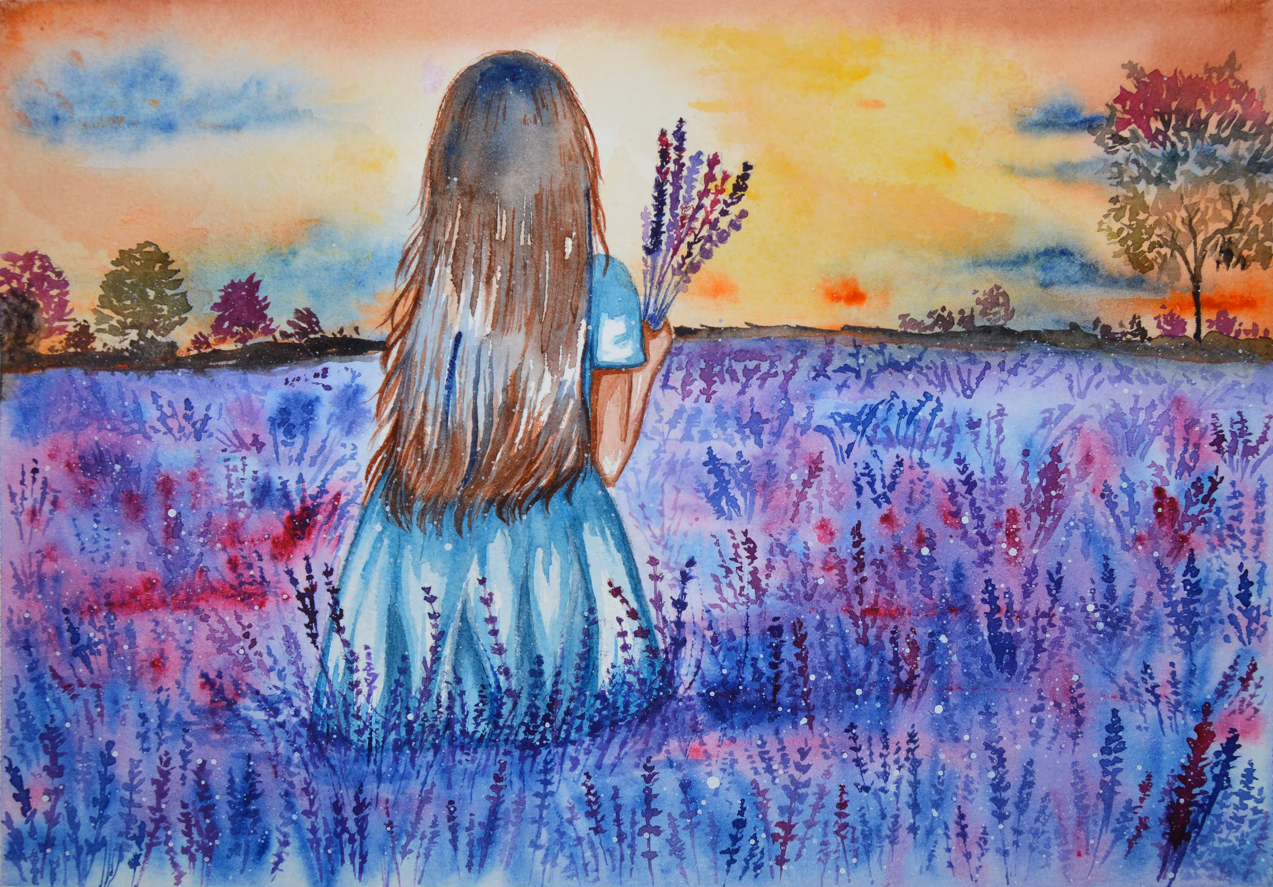 A sea of lavender