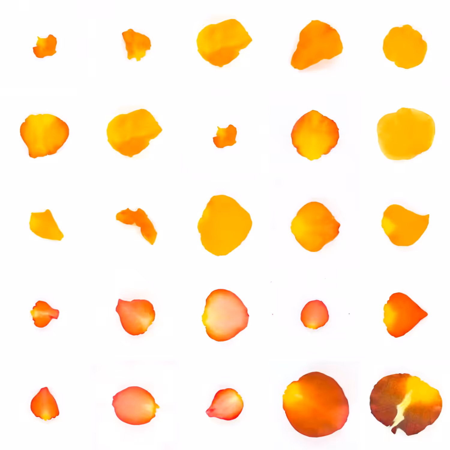 Infinite Petals 5x5#20433
