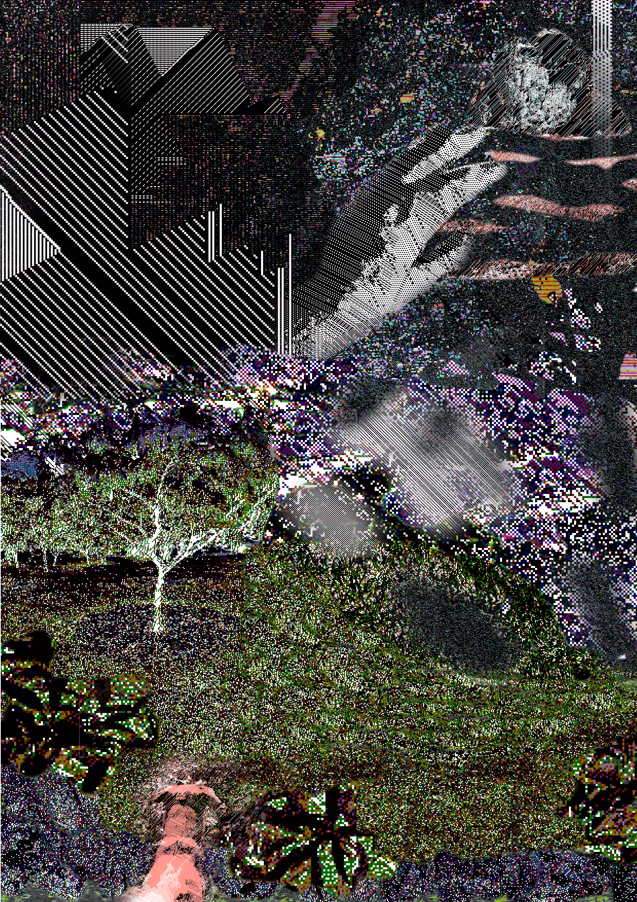 Observation 33