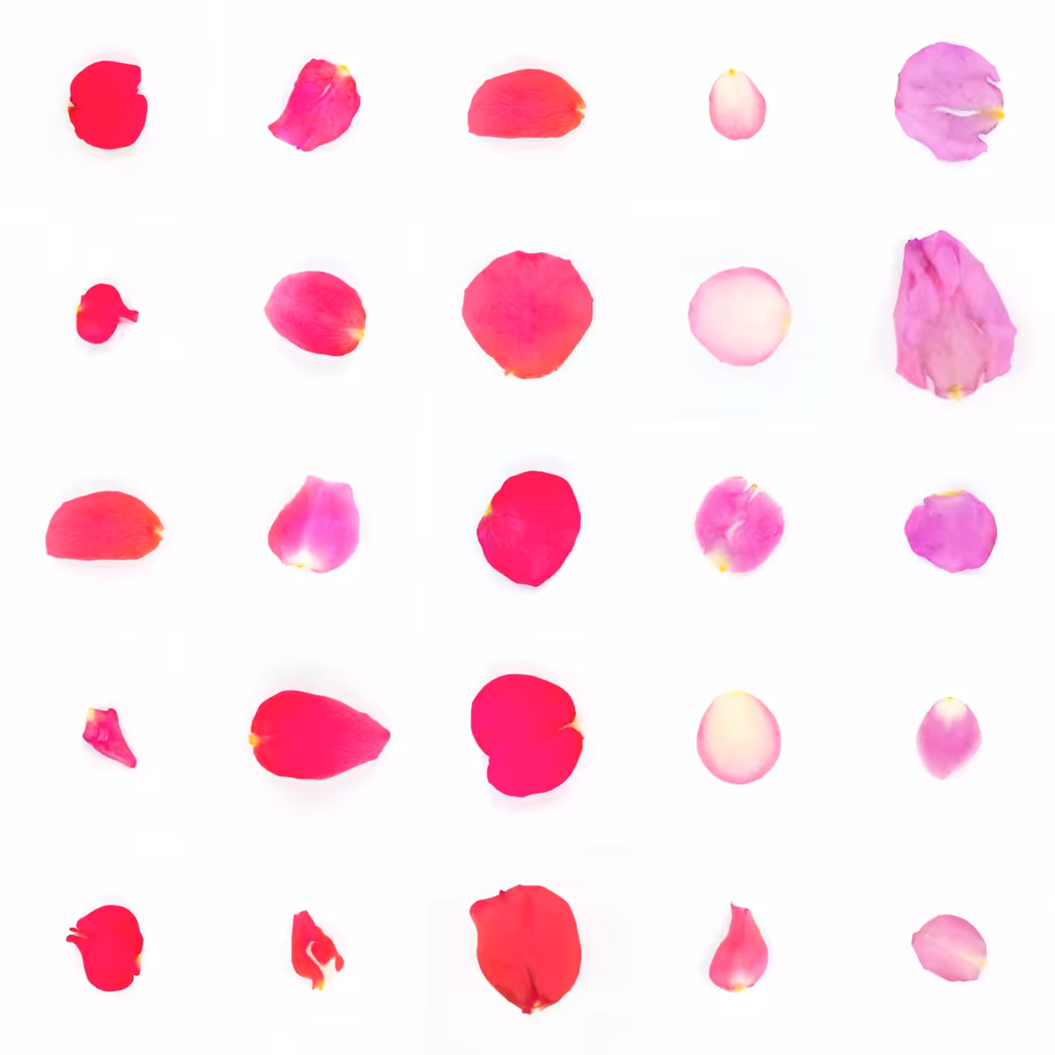 Infinite Petals 5x5#20086