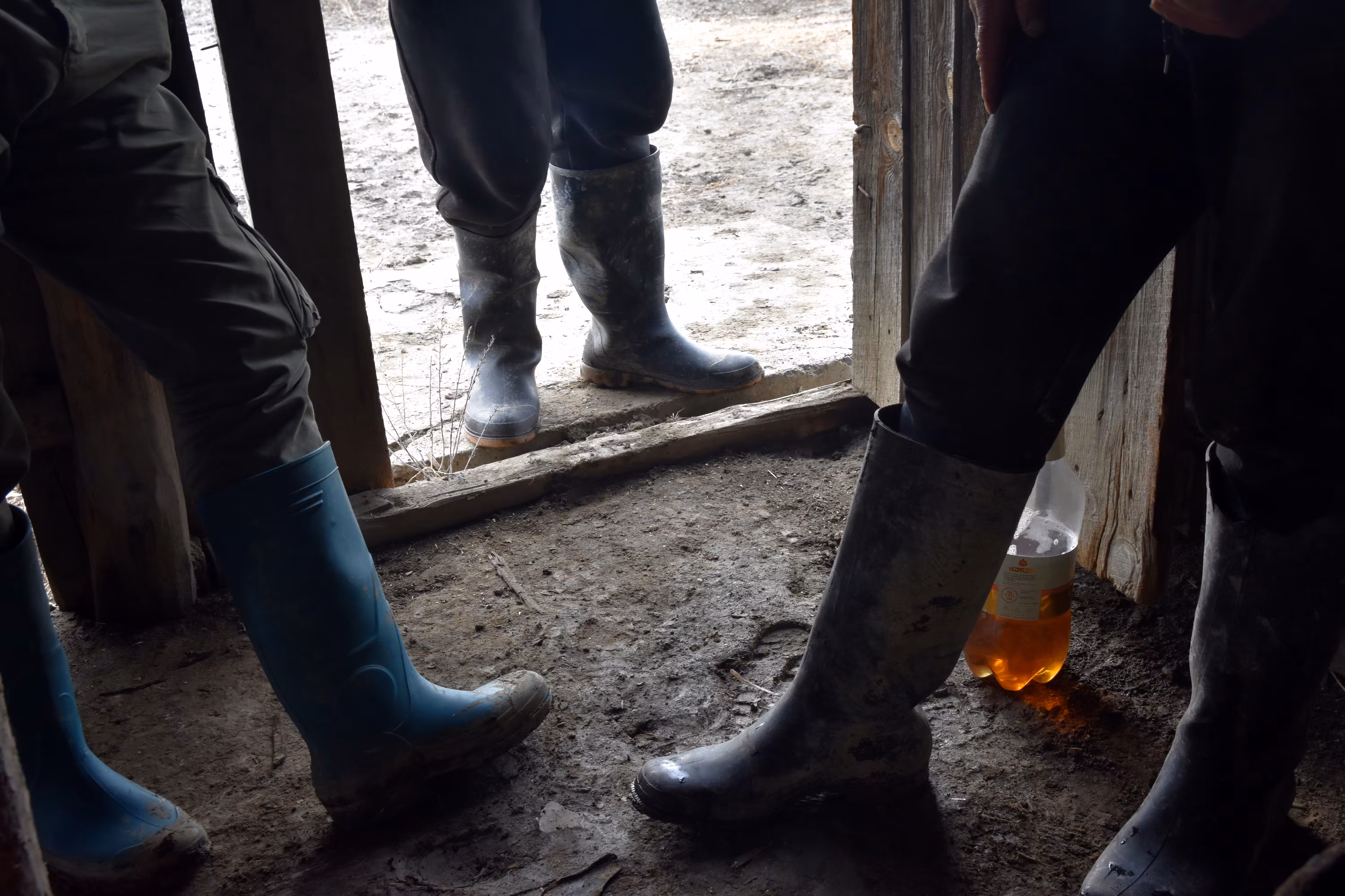 Six rubber boots and a half bottle of beer