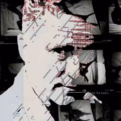 THE GENERATIVE PORTRAIT COLLECTION OF ROBERT MALLARY: Generative Portrait of Robert Mallary #833