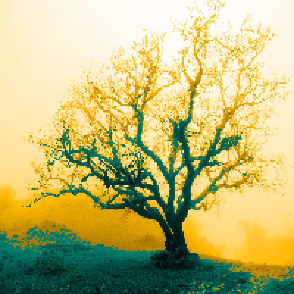 Tree #1