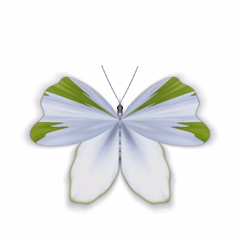Vlinder II #39