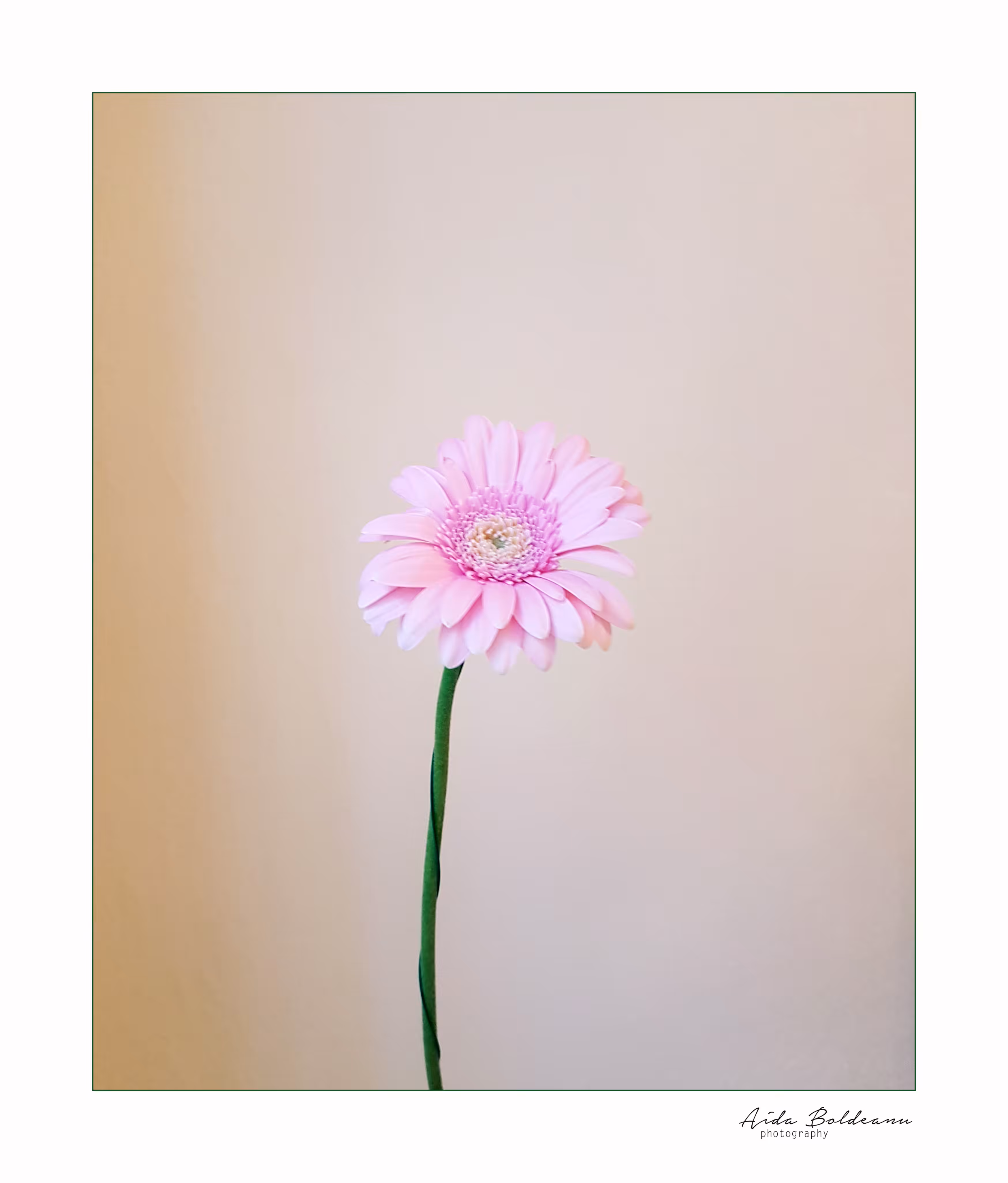 Pinky