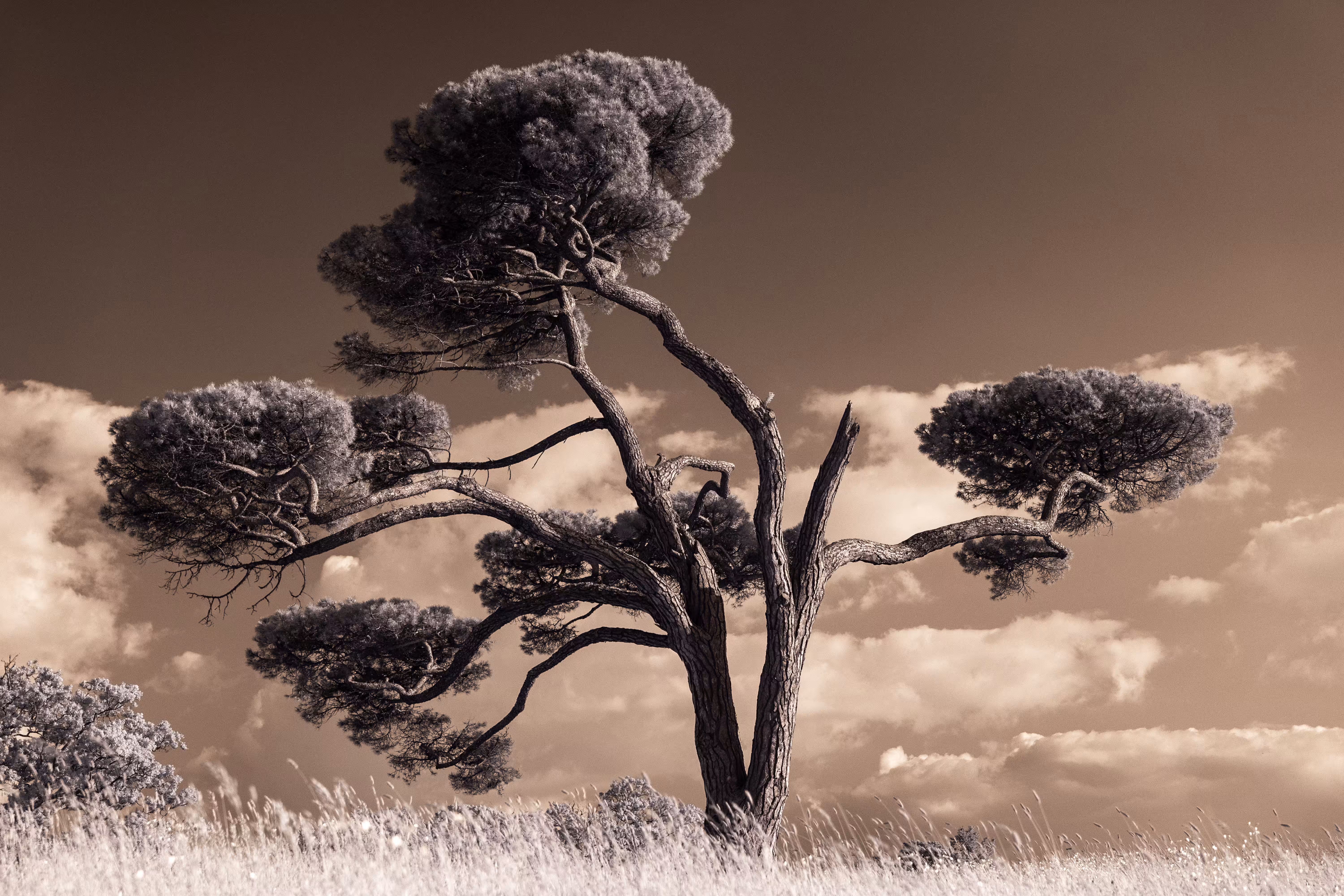 Still Standing