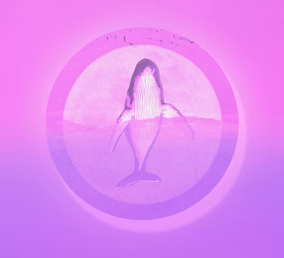 [Round #19] Whale in the moonlight.