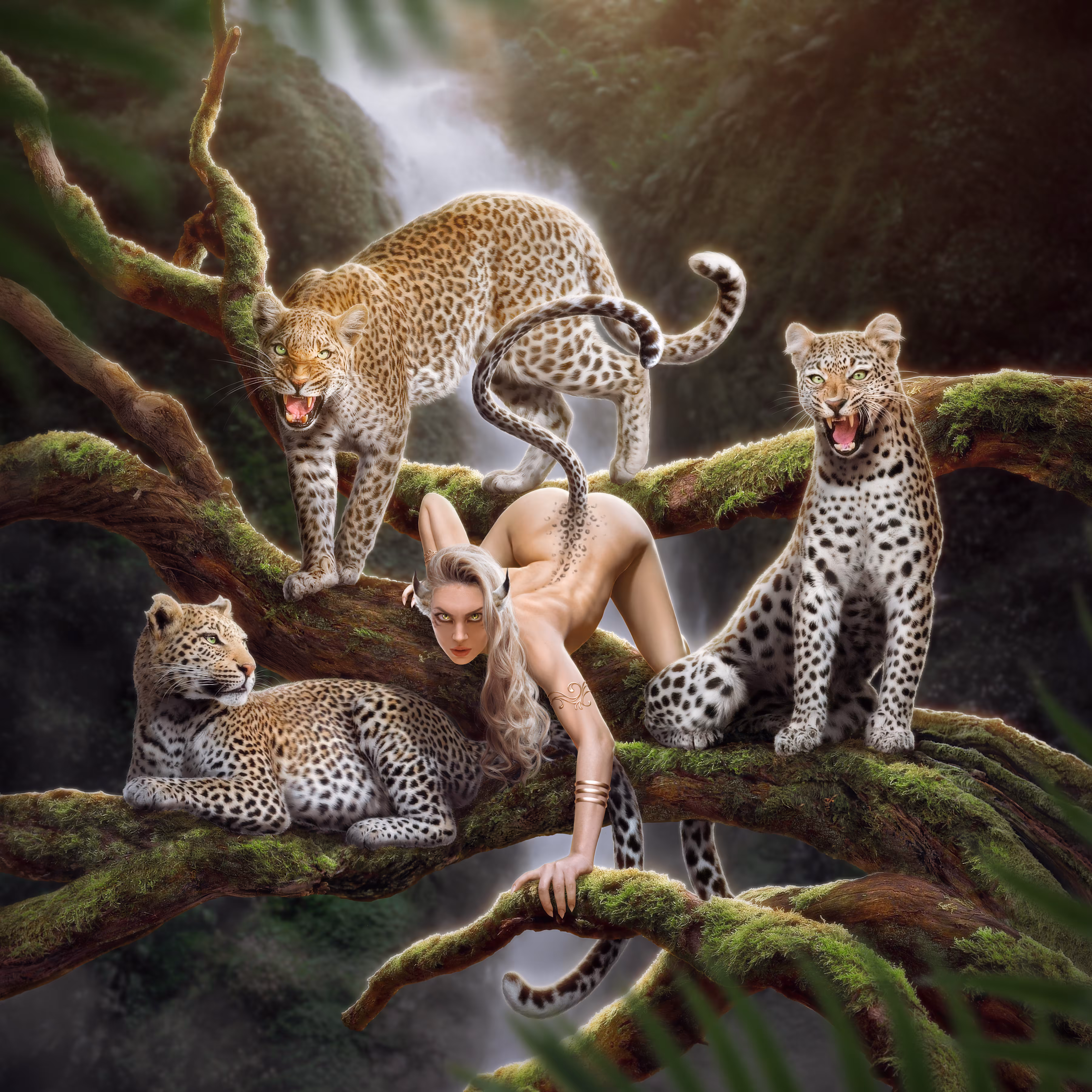 The Cat Mistress