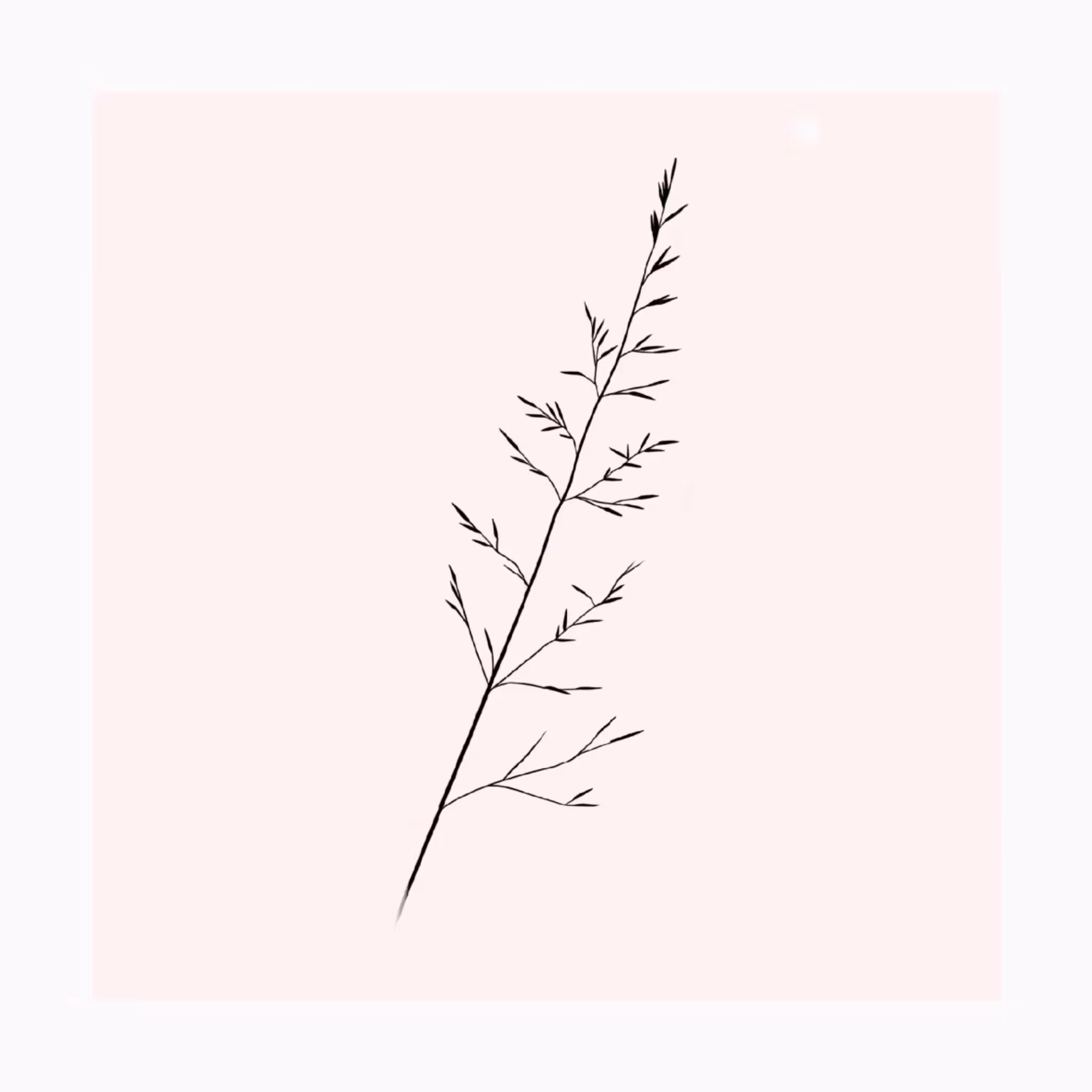 untitled #4